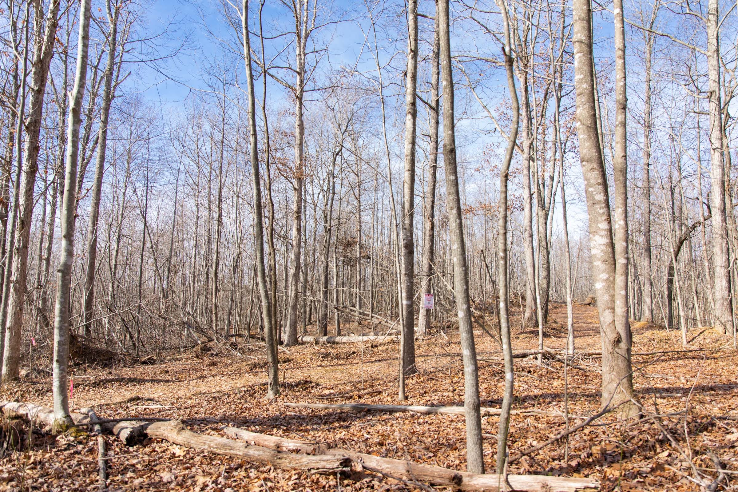 Blackstone Mountain Phase I Tract 32 photo 7