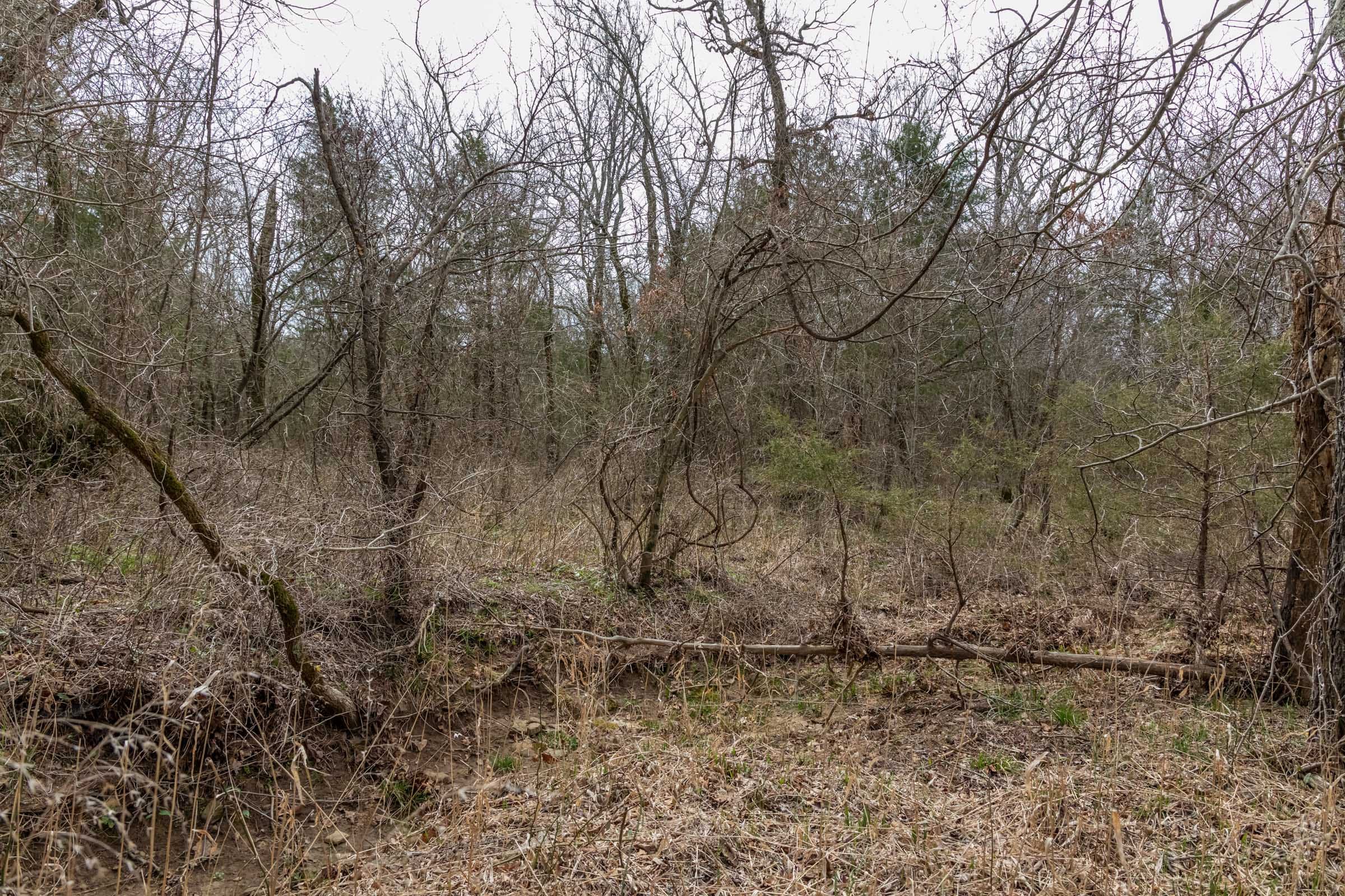 Stone Bridge Phase III Tract 171 photo 5