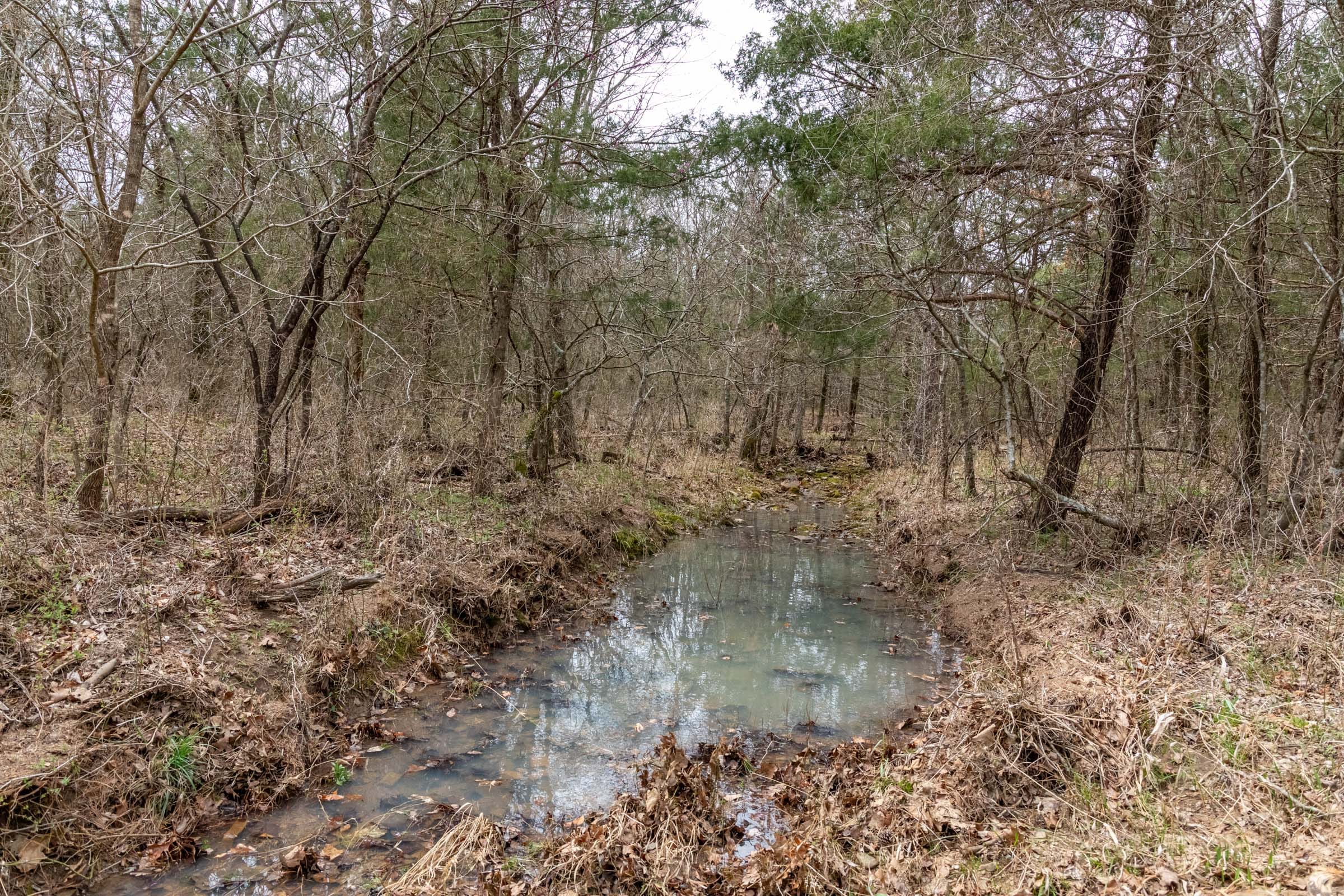 Stone Bridge Phase III Tract 171 photo 3