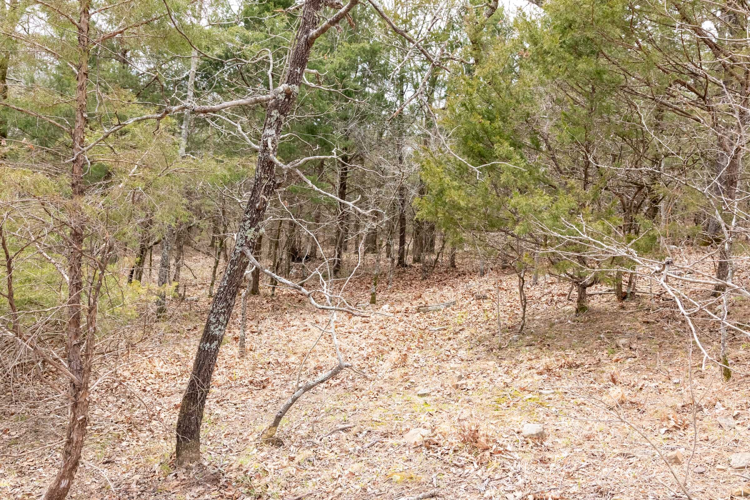 Stone Bridge Phase III Tract 171 photo 10