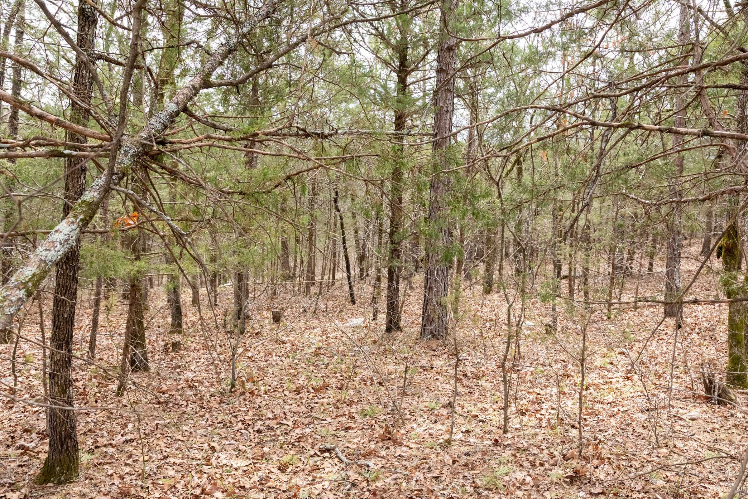 Stone Bridge Phase III Tract 171 photo 14