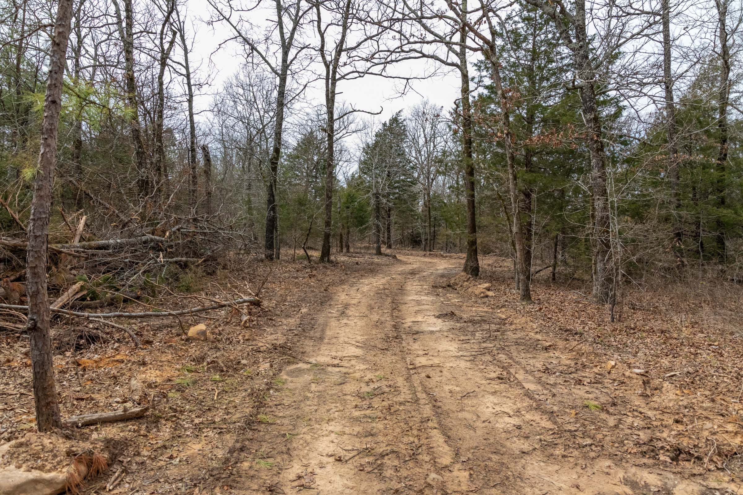 Stone Bridge Phase III Tract 171 photo 6