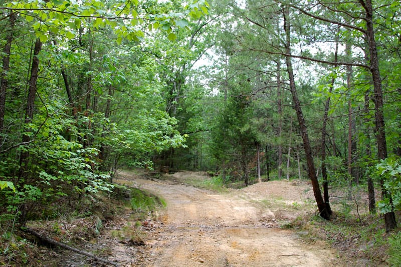 Trophy Ridge Phase II Tract 76 photo 1