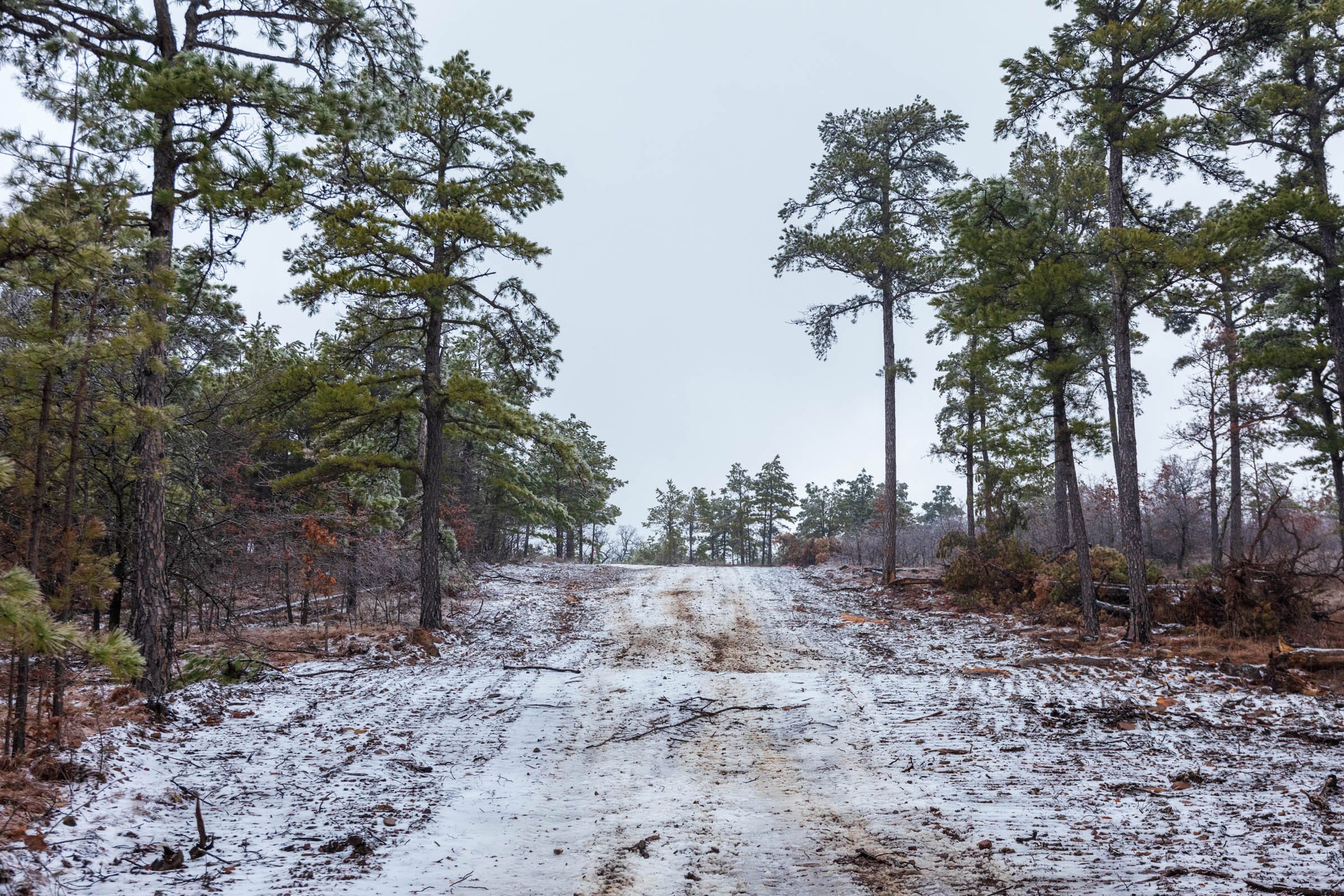 Stone Bridge Phase IV Tract 319 photo 6