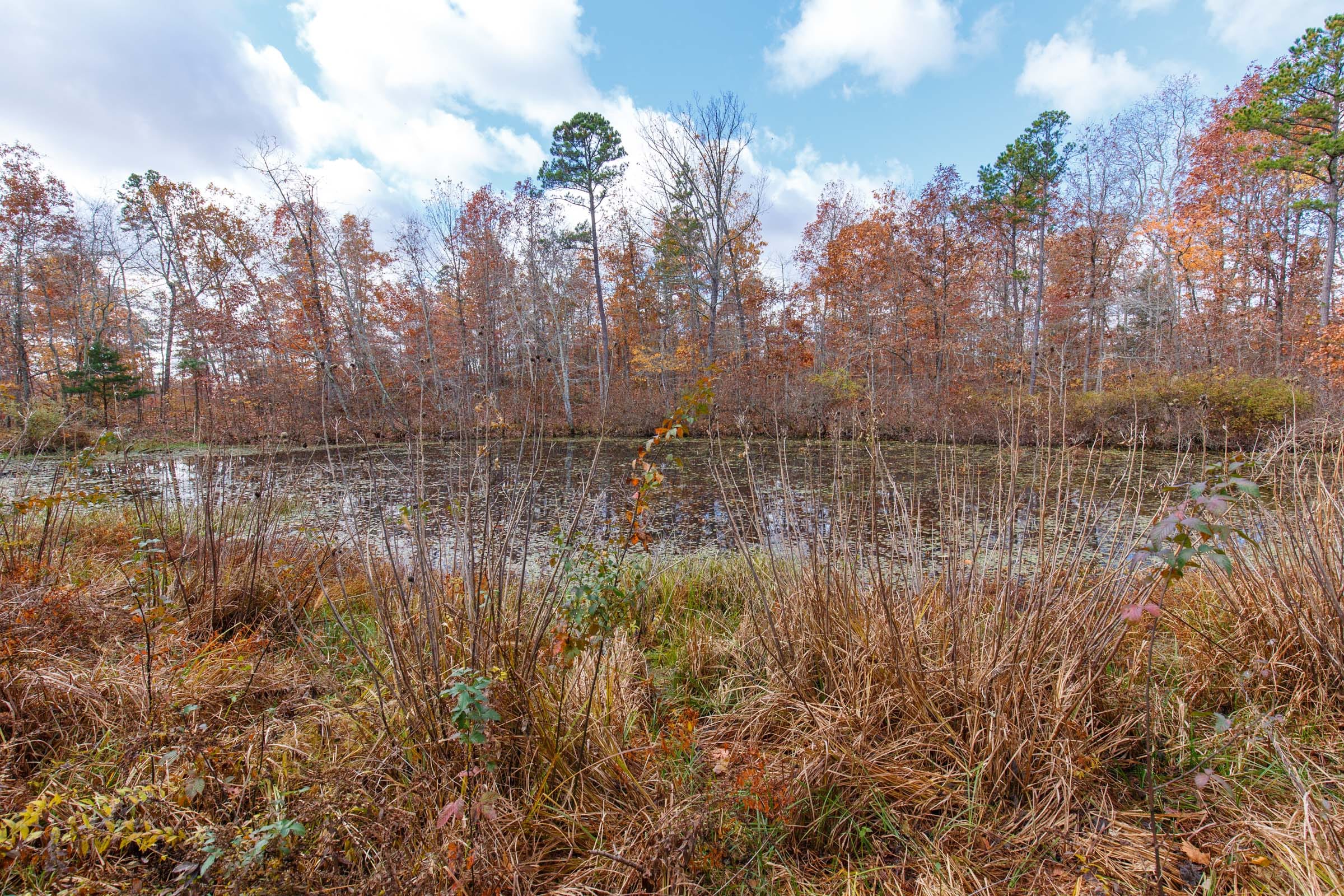 Hawkcrest Tract 40 photo 6
