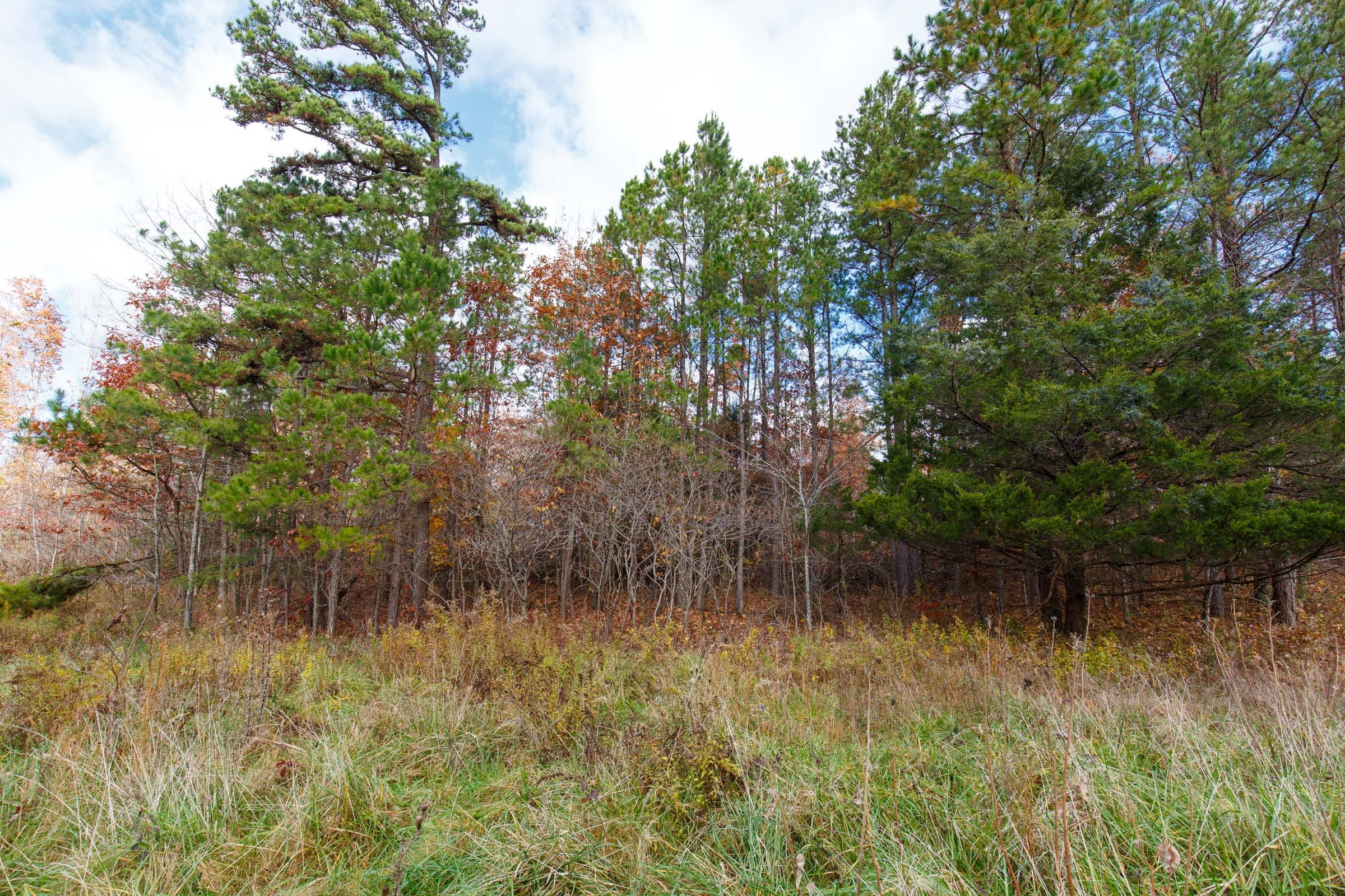 Hawkcrest Tract 40 photo 7