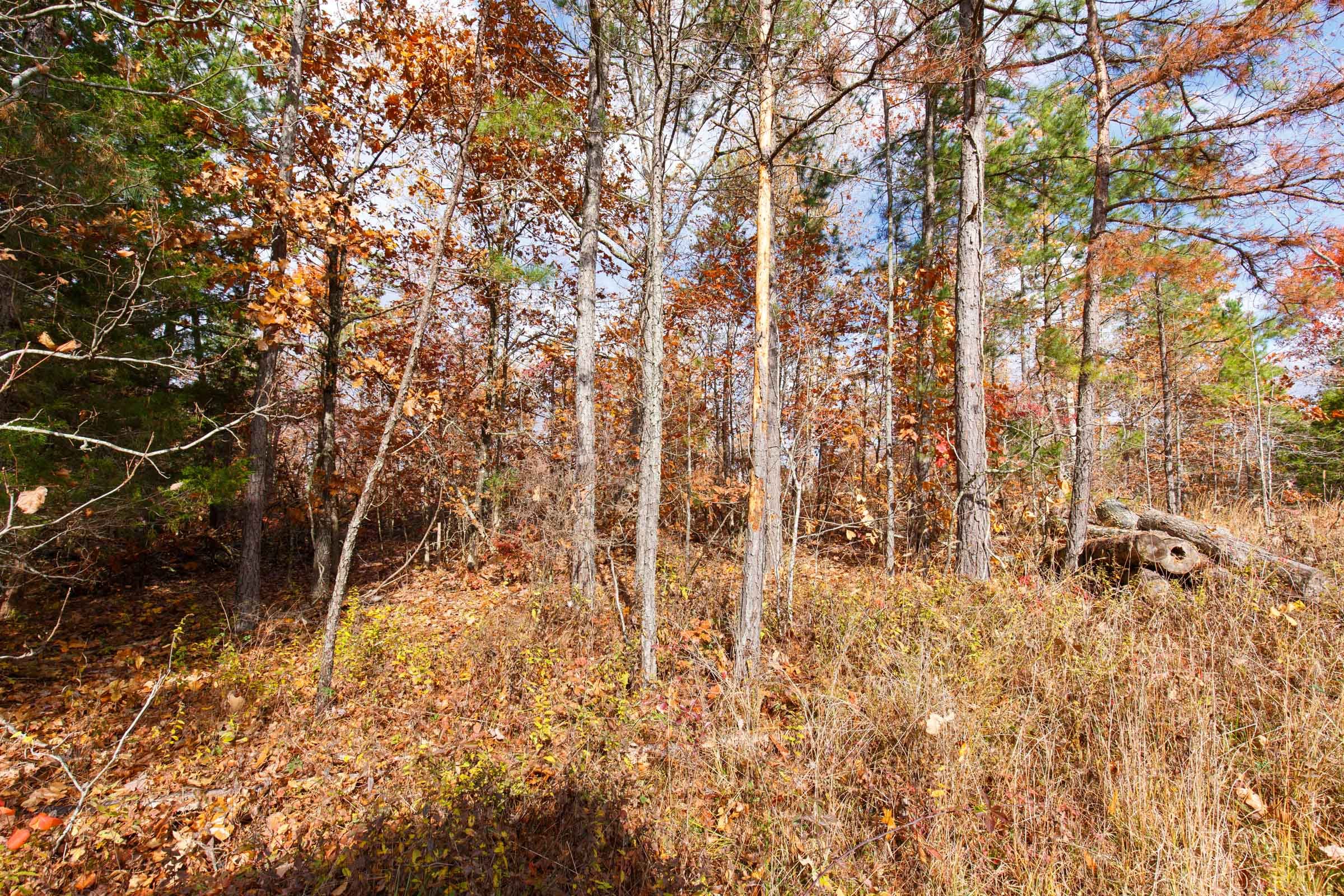 Hawkcrest Tract 40 photo 3