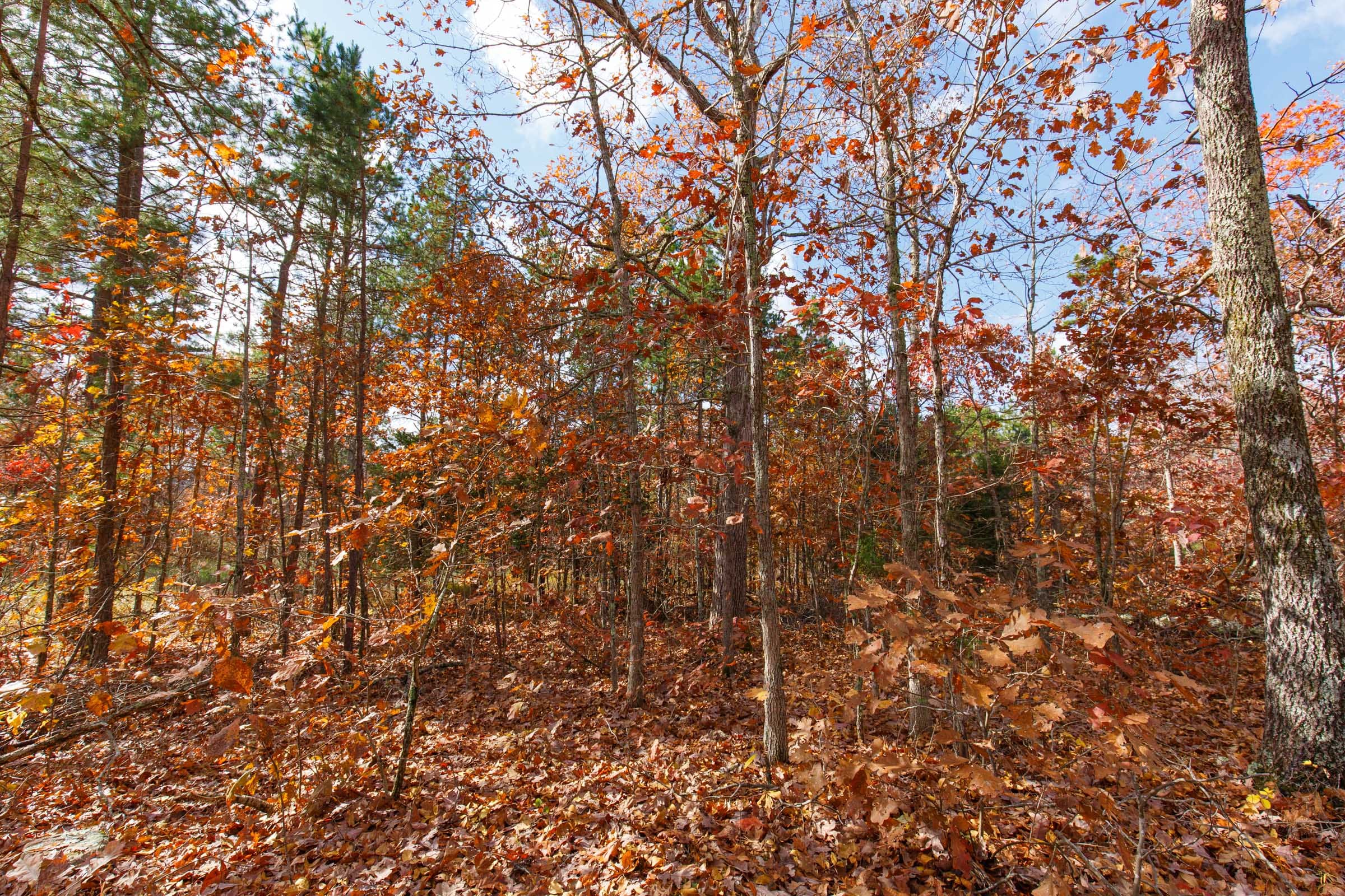 Hawkcrest Tract 40 photo 5