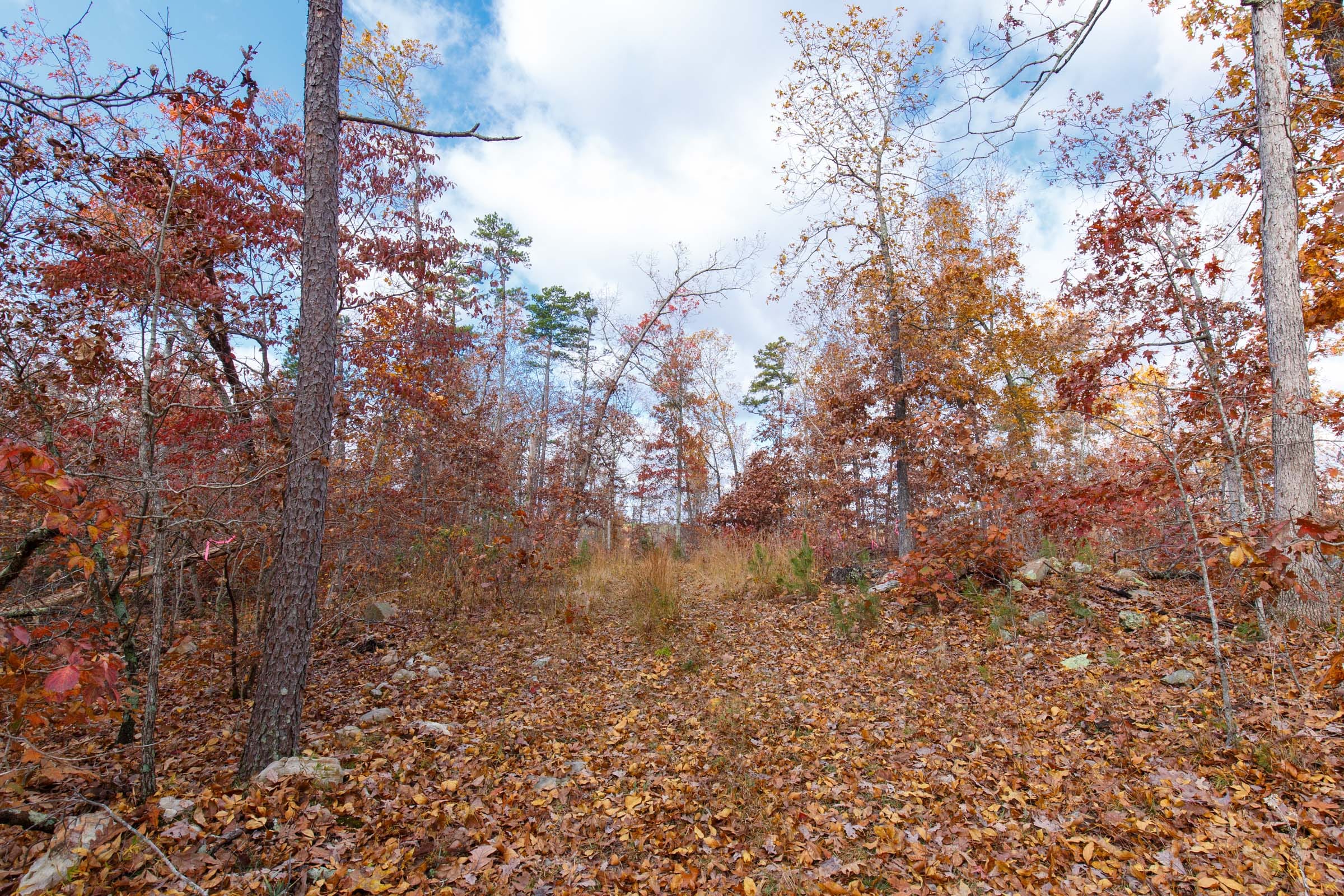 Hawkcrest Tract 40 photo 8