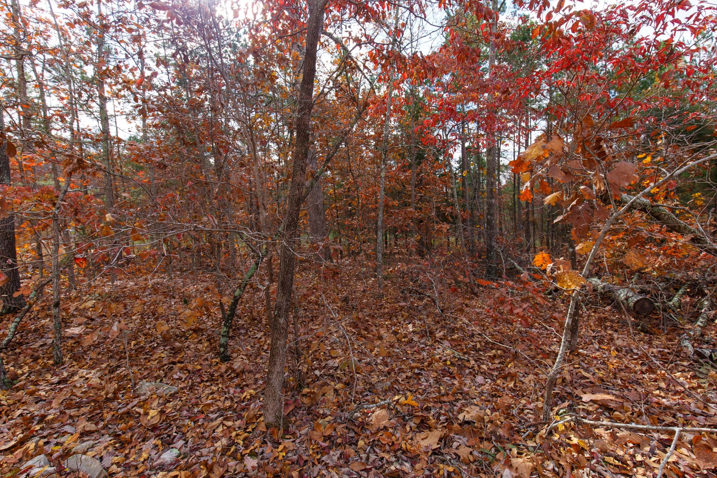 Hawkcrest Tract 40 photo 9