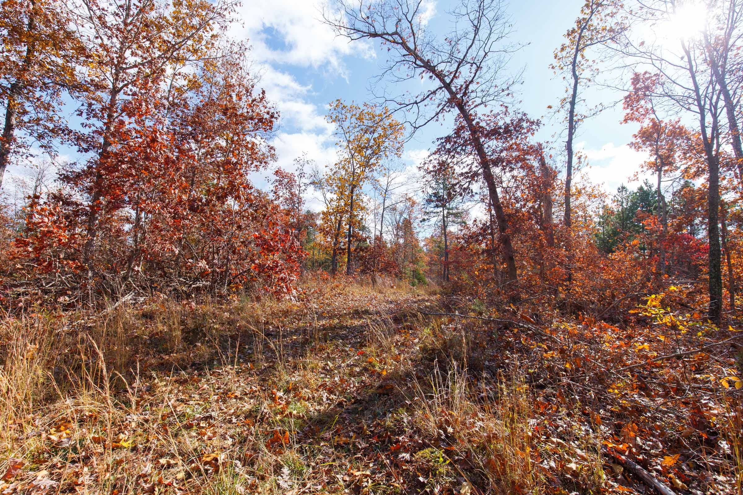 Hawkcrest Tract 40 photo 10