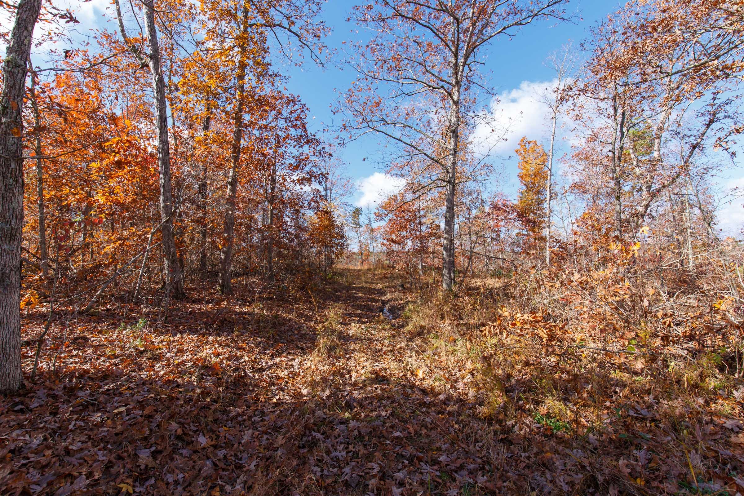 Hawkcrest Tract 40 photo 1
