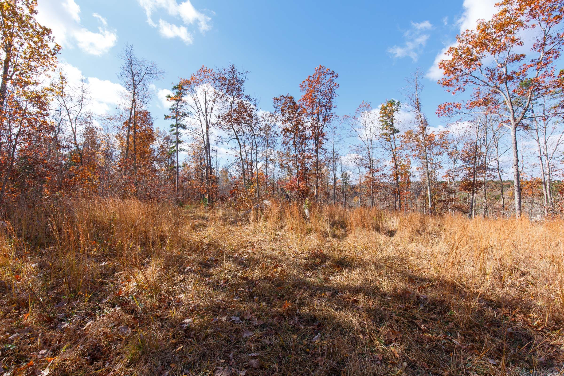 Hawkcrest Tract 40 photo 12