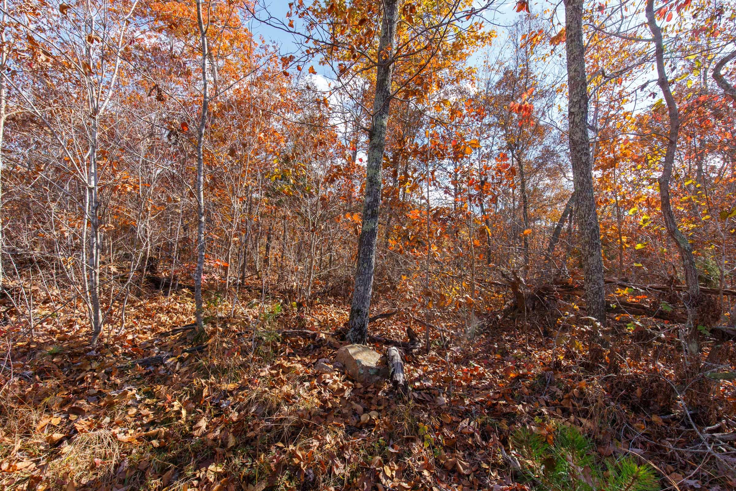 Hawkcrest Tract 40 photo 13