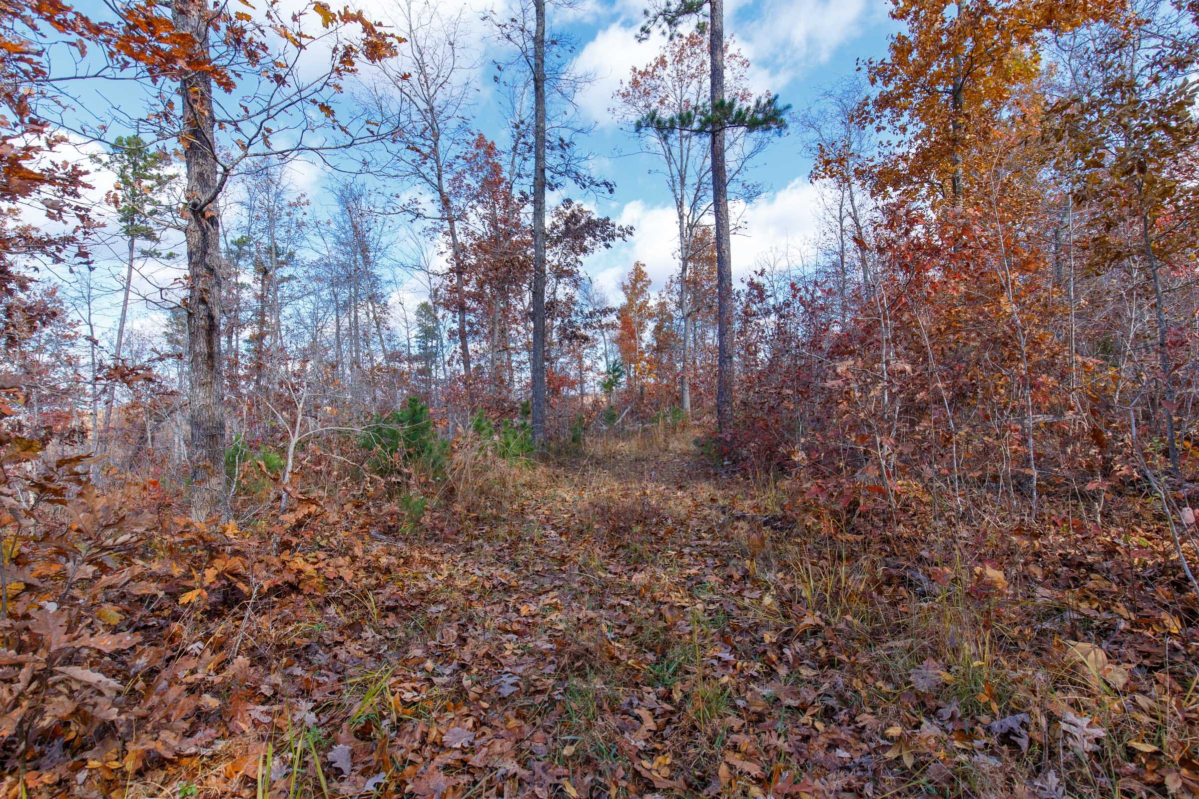 Hawkcrest Tract 40 photo 15