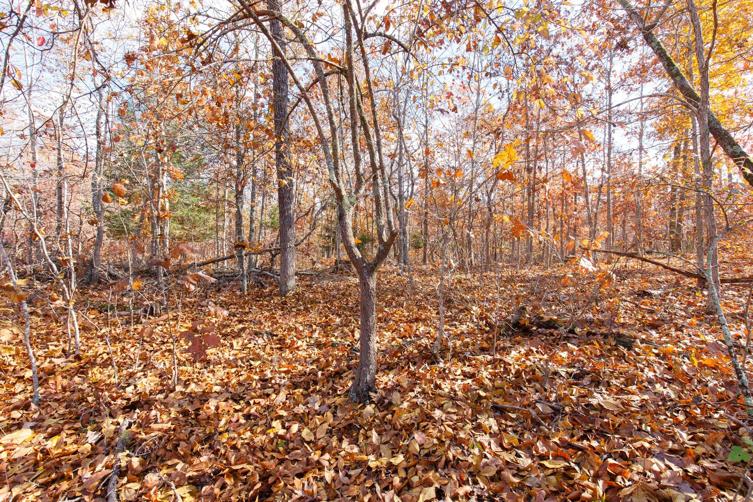 Hawkcrest Tract 40 photo 14