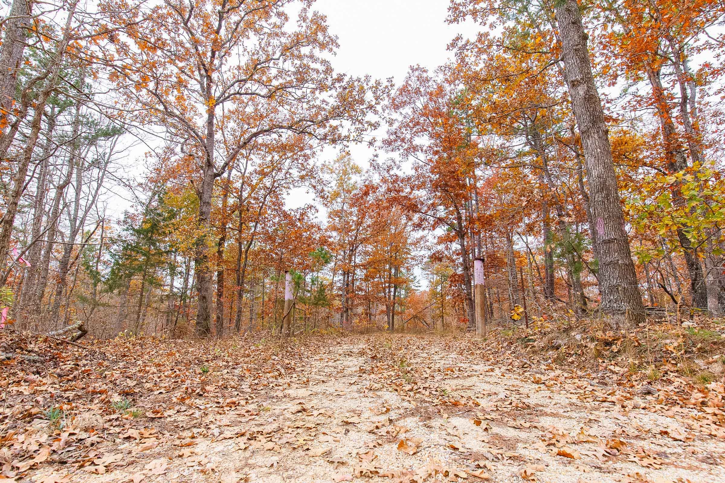Hawkcrest Tract 1 photo 4
