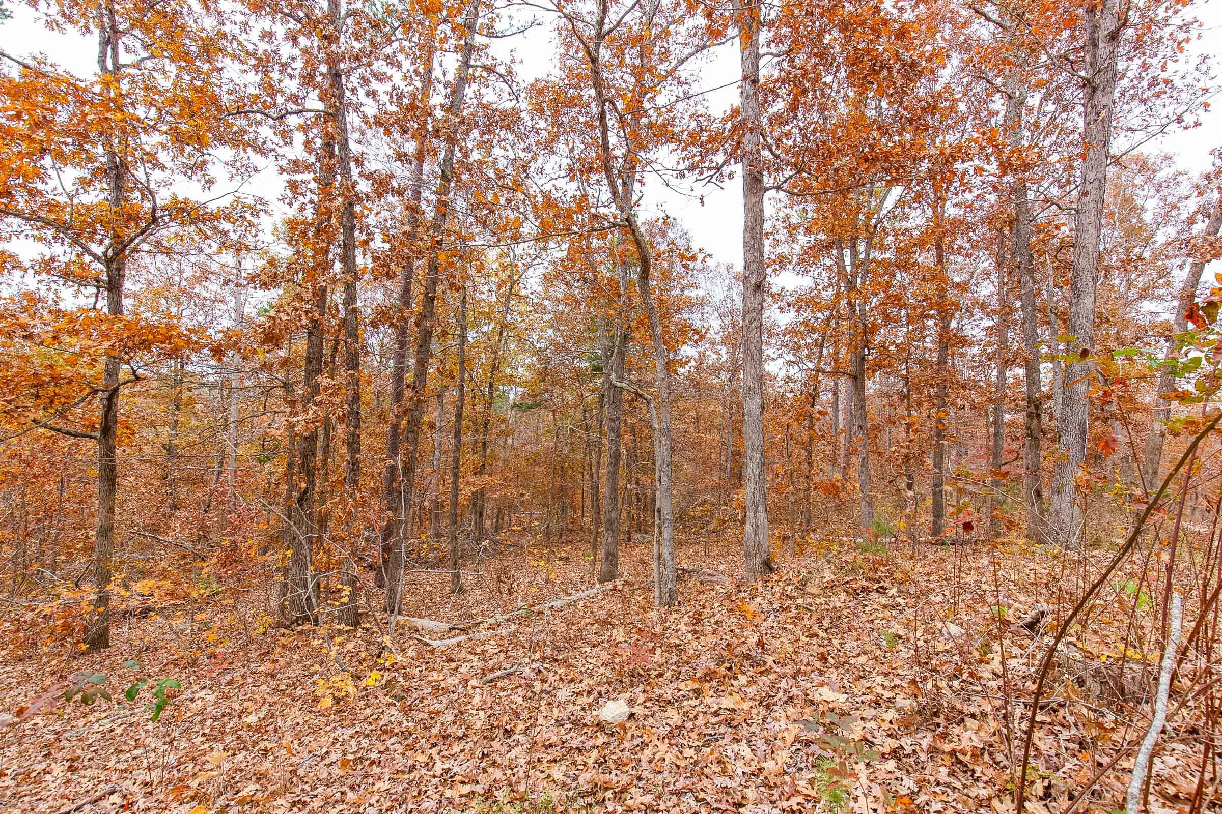 Hawkcrest Tract 1 photo 9