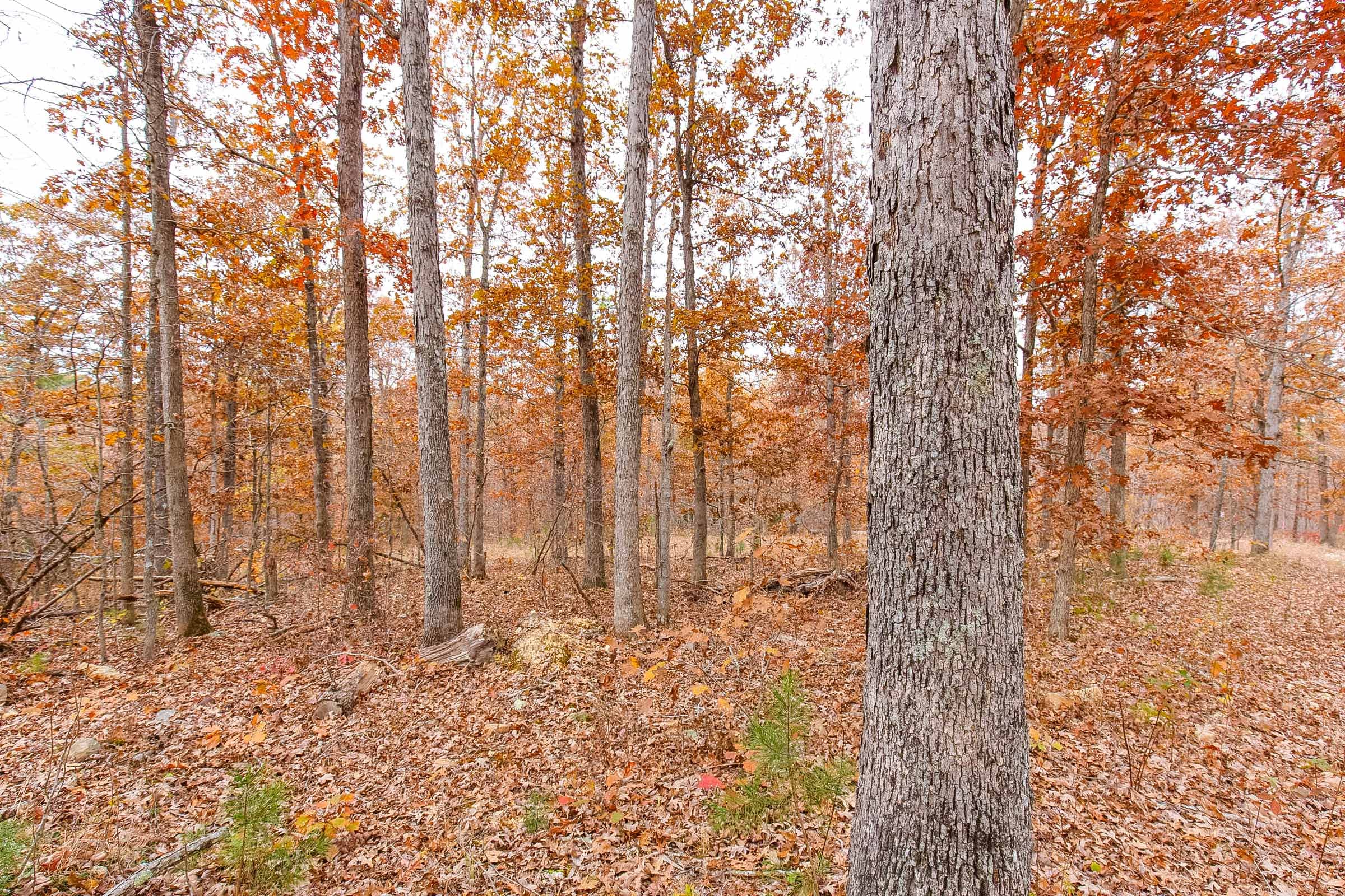 Hawkcrest Tract 1 photo 3