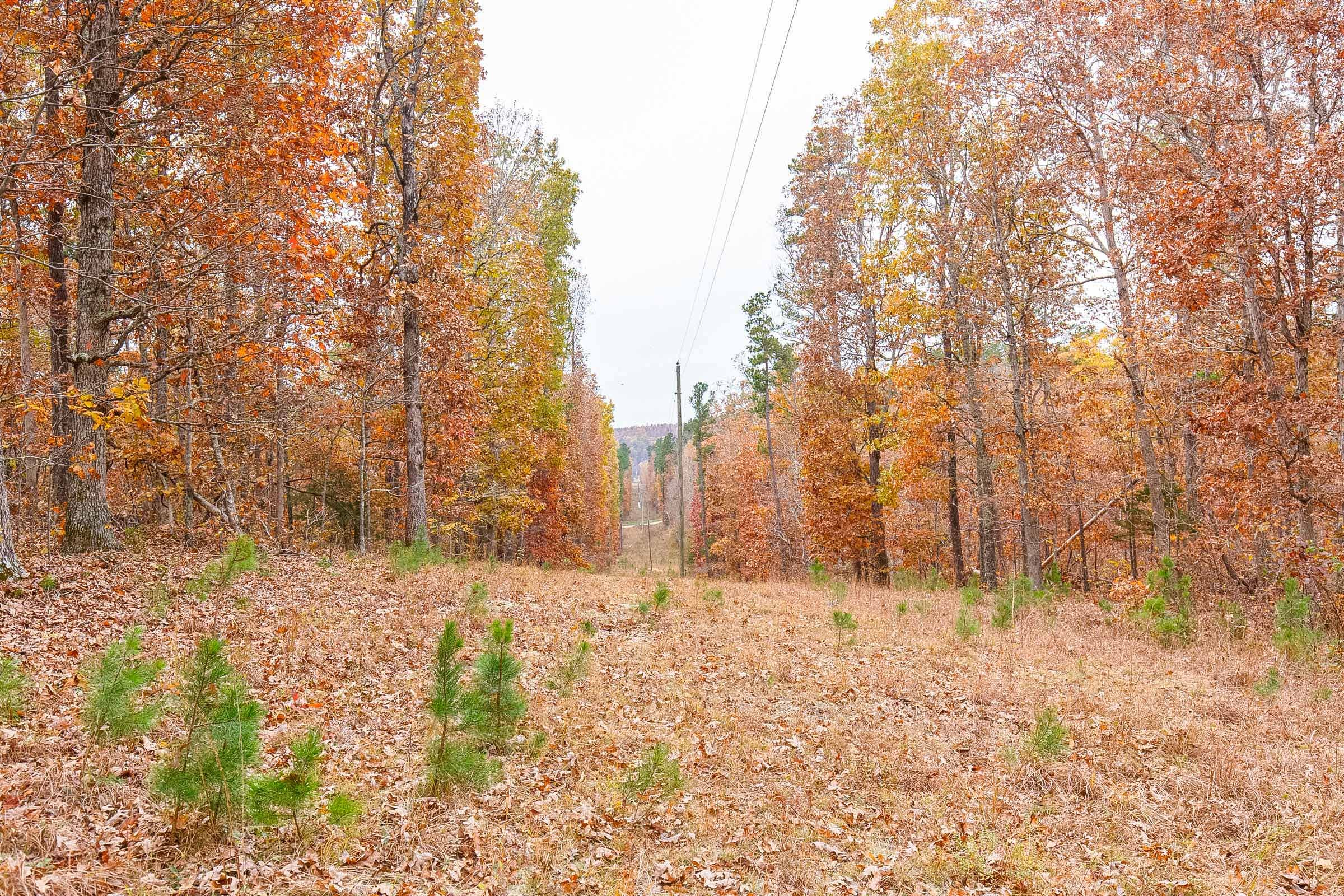 Hawkcrest Tract 1 photo 2