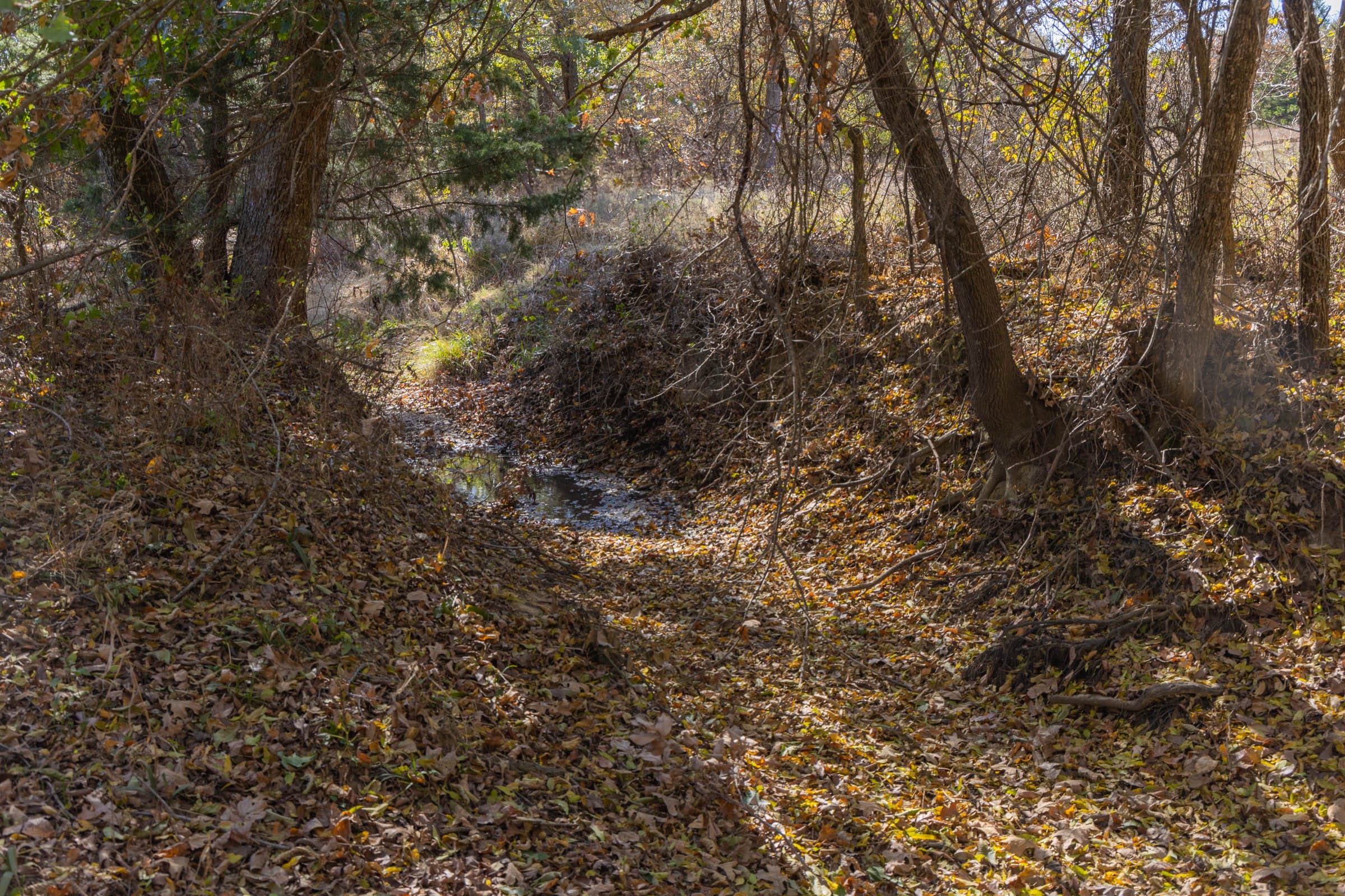 Harmony Hills Tract 43 photo 2