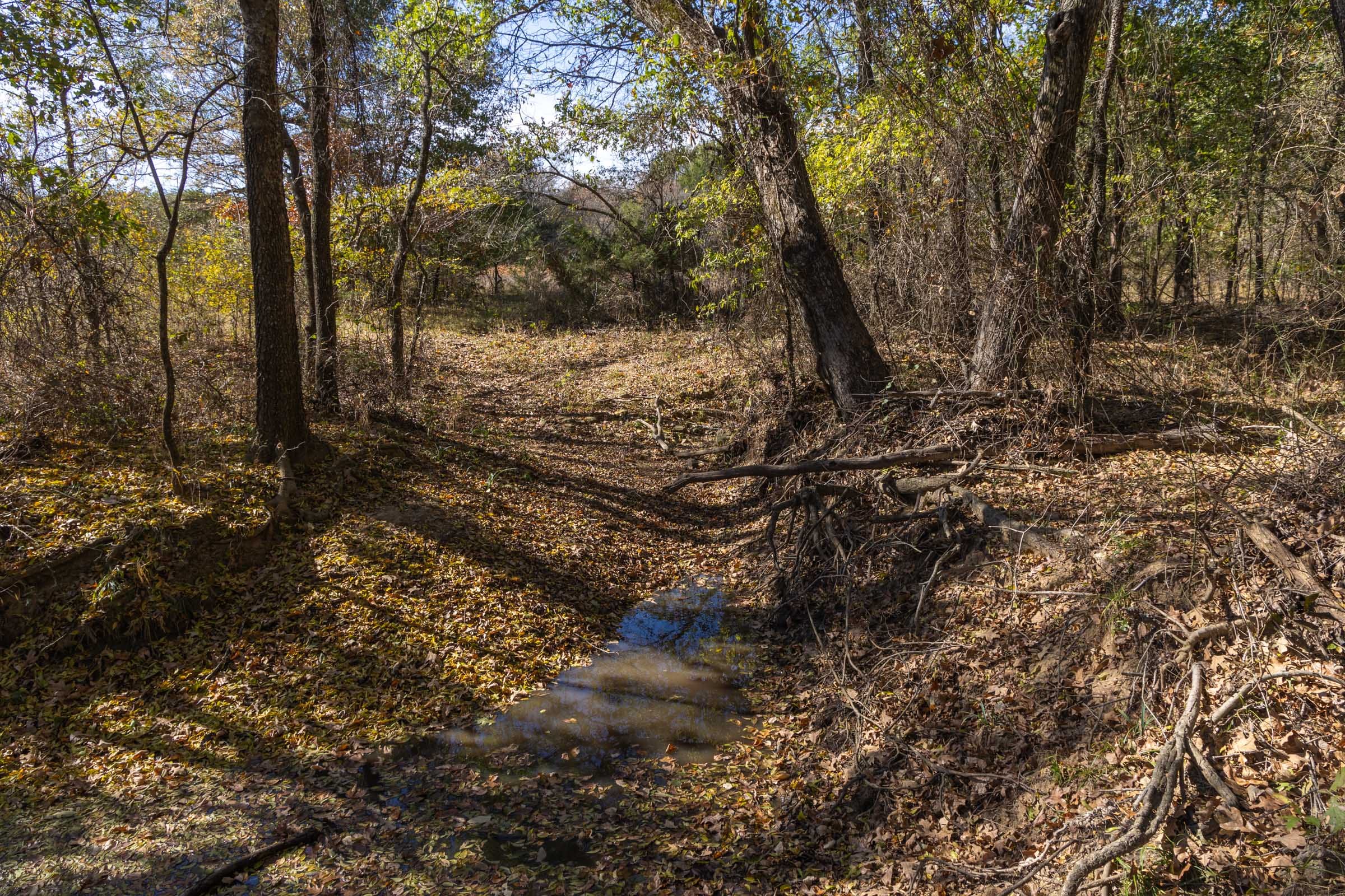 Harmony Hills Tract 43 photo 5