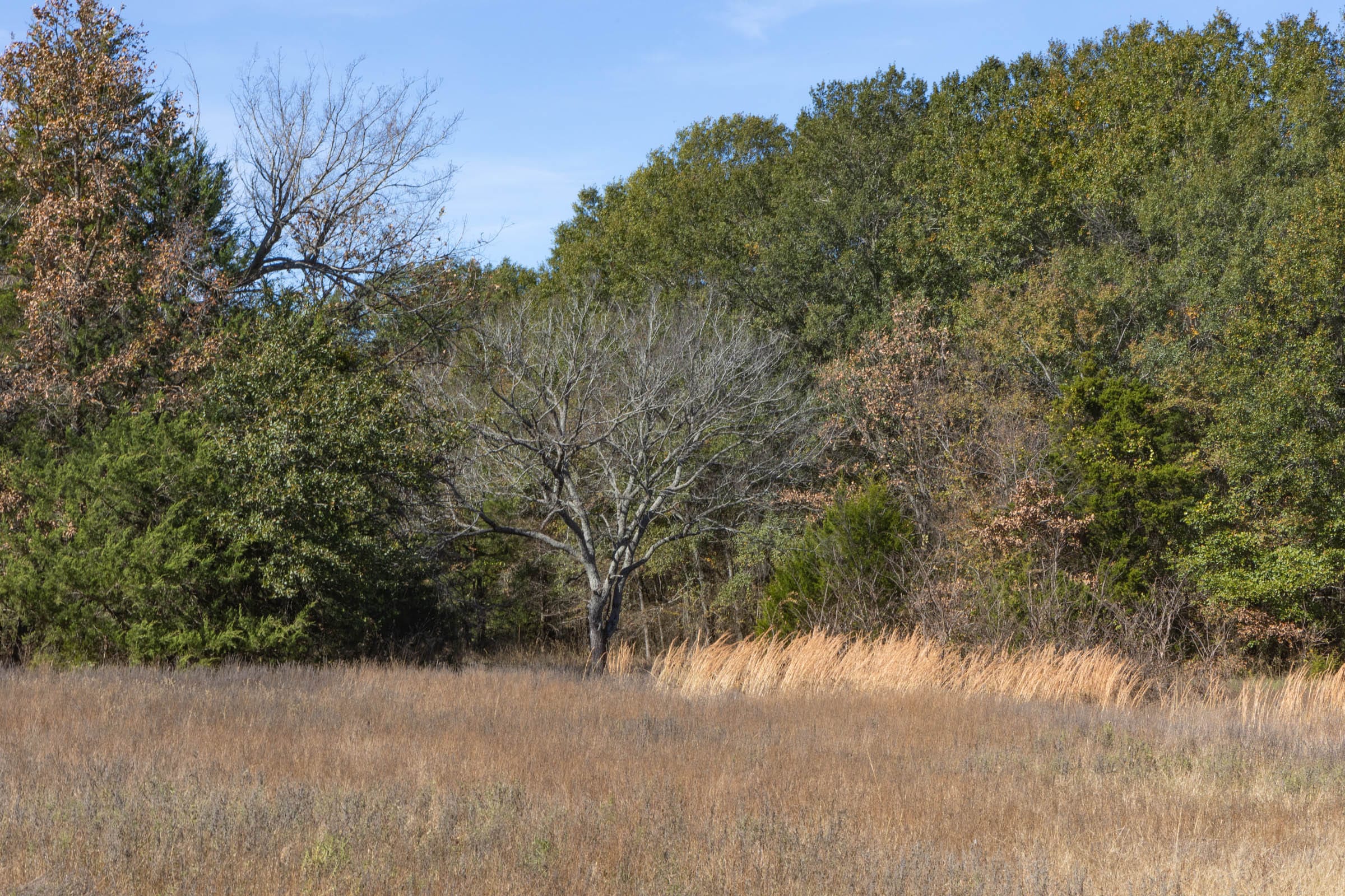 Harmony Hills Tract 43 photo 3