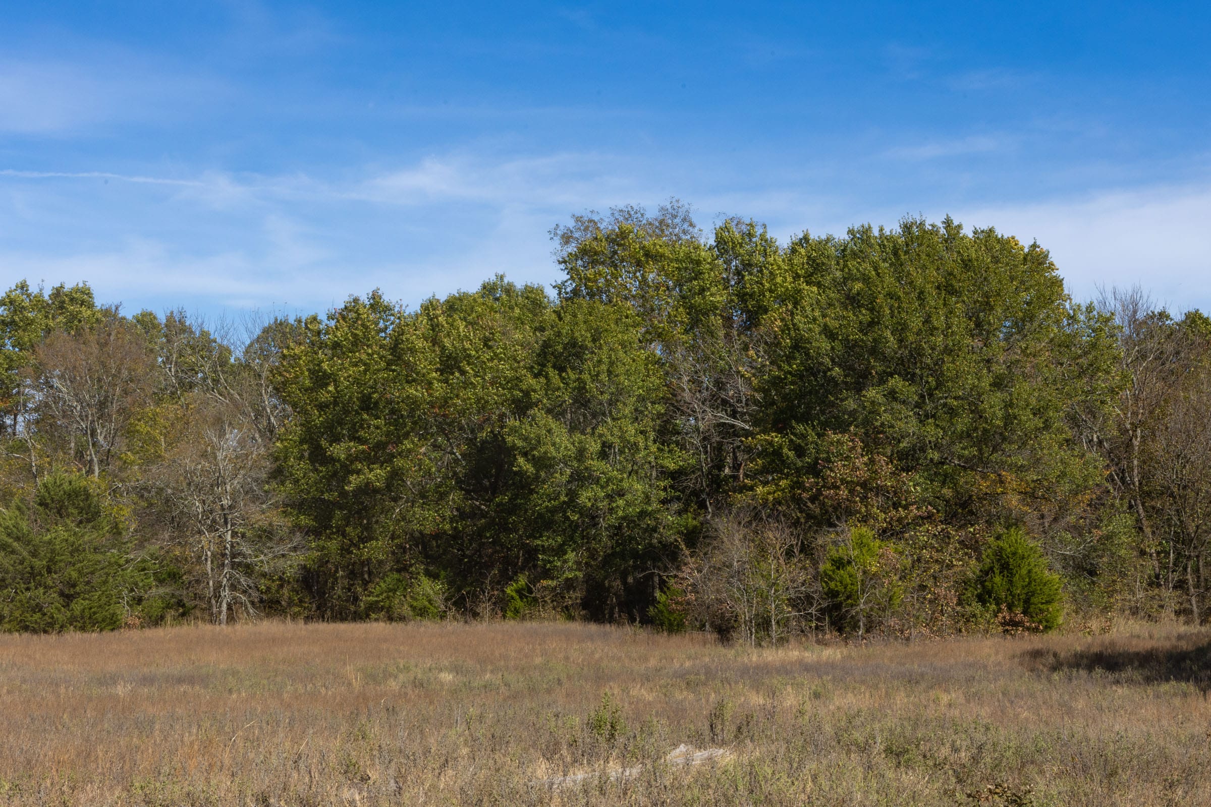 Harmony Hills Tract 43 photo 7