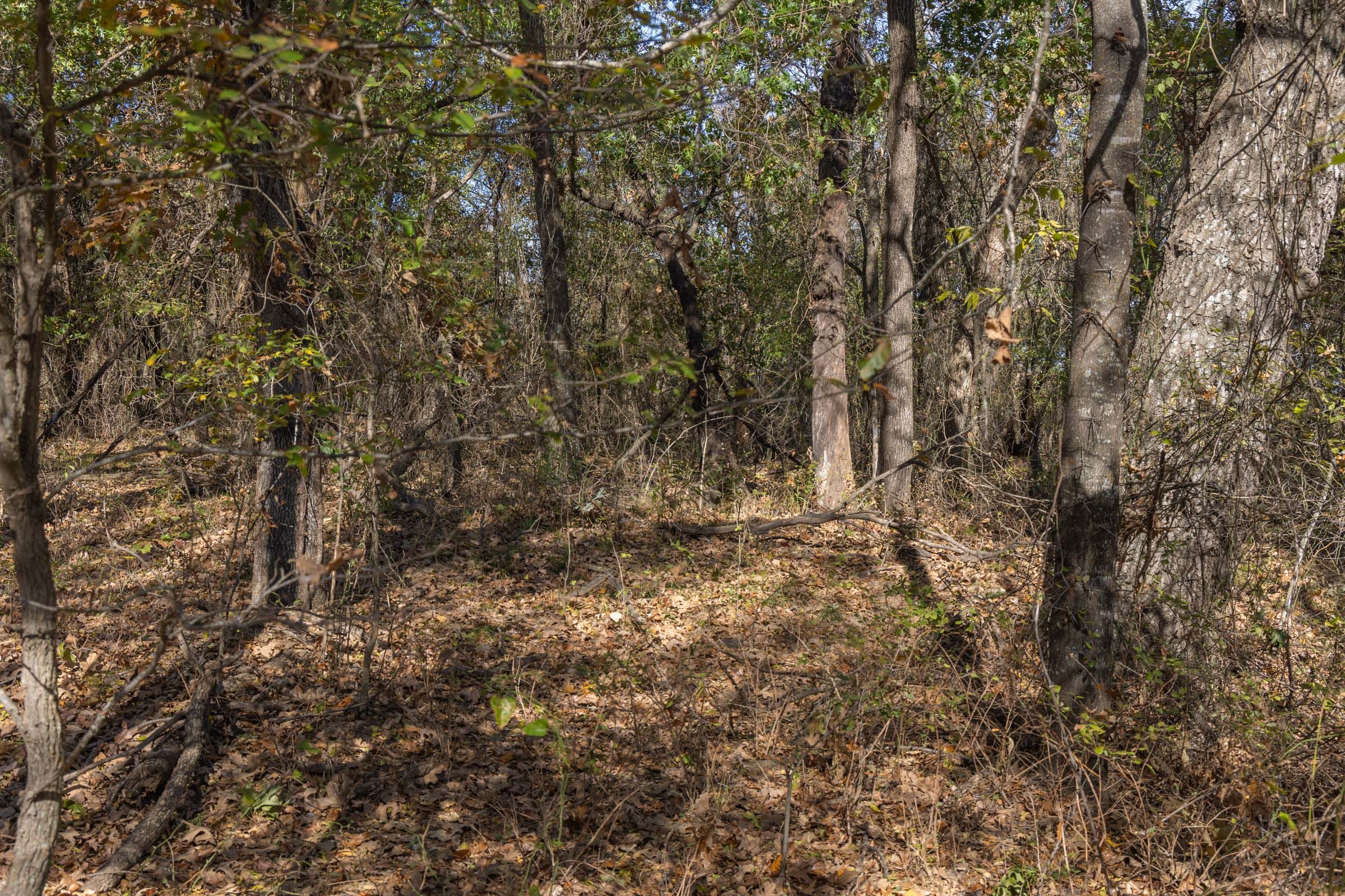 Harmony Hills Tract 43 photo 8