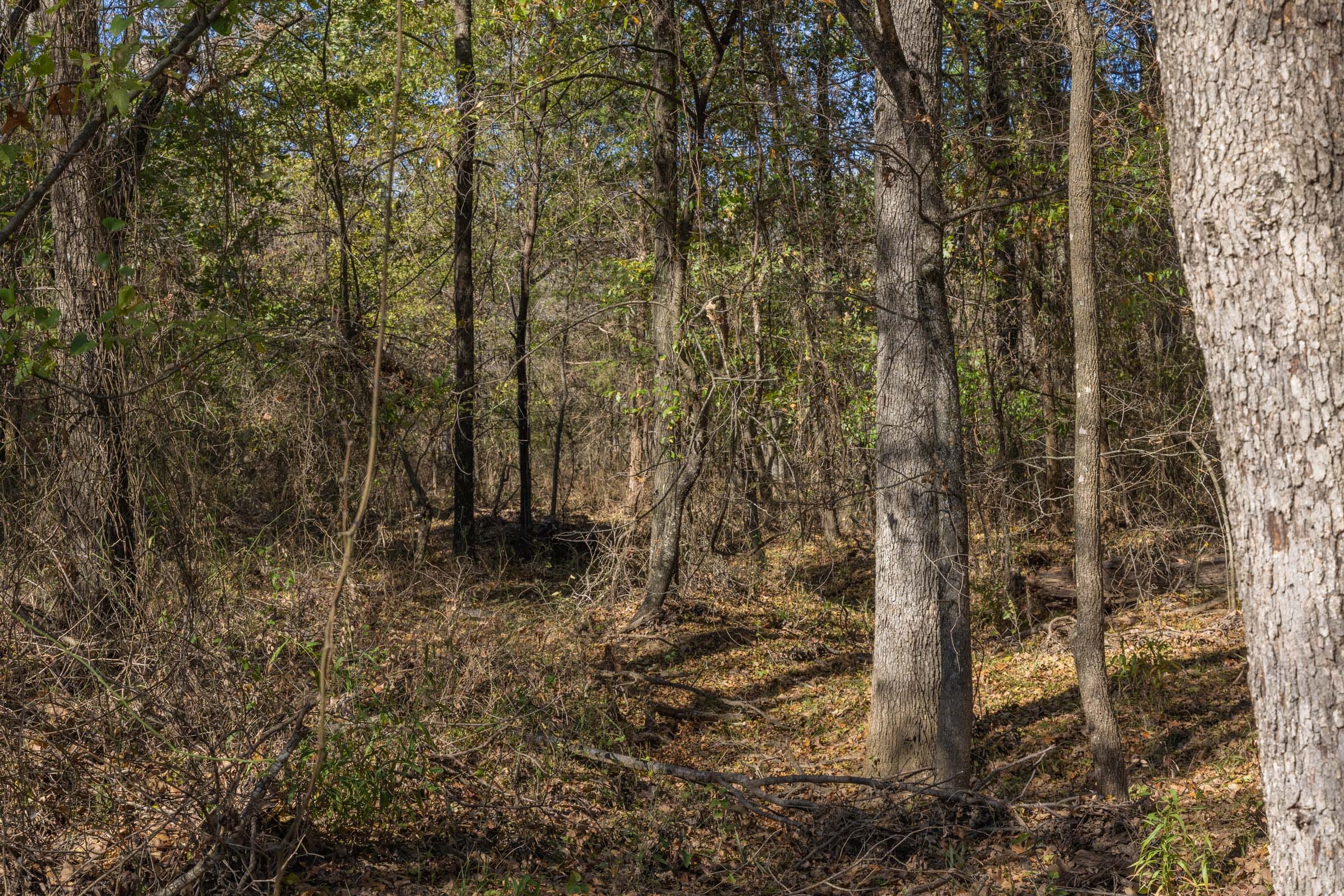 Harmony Hills Tract 43 photo 13