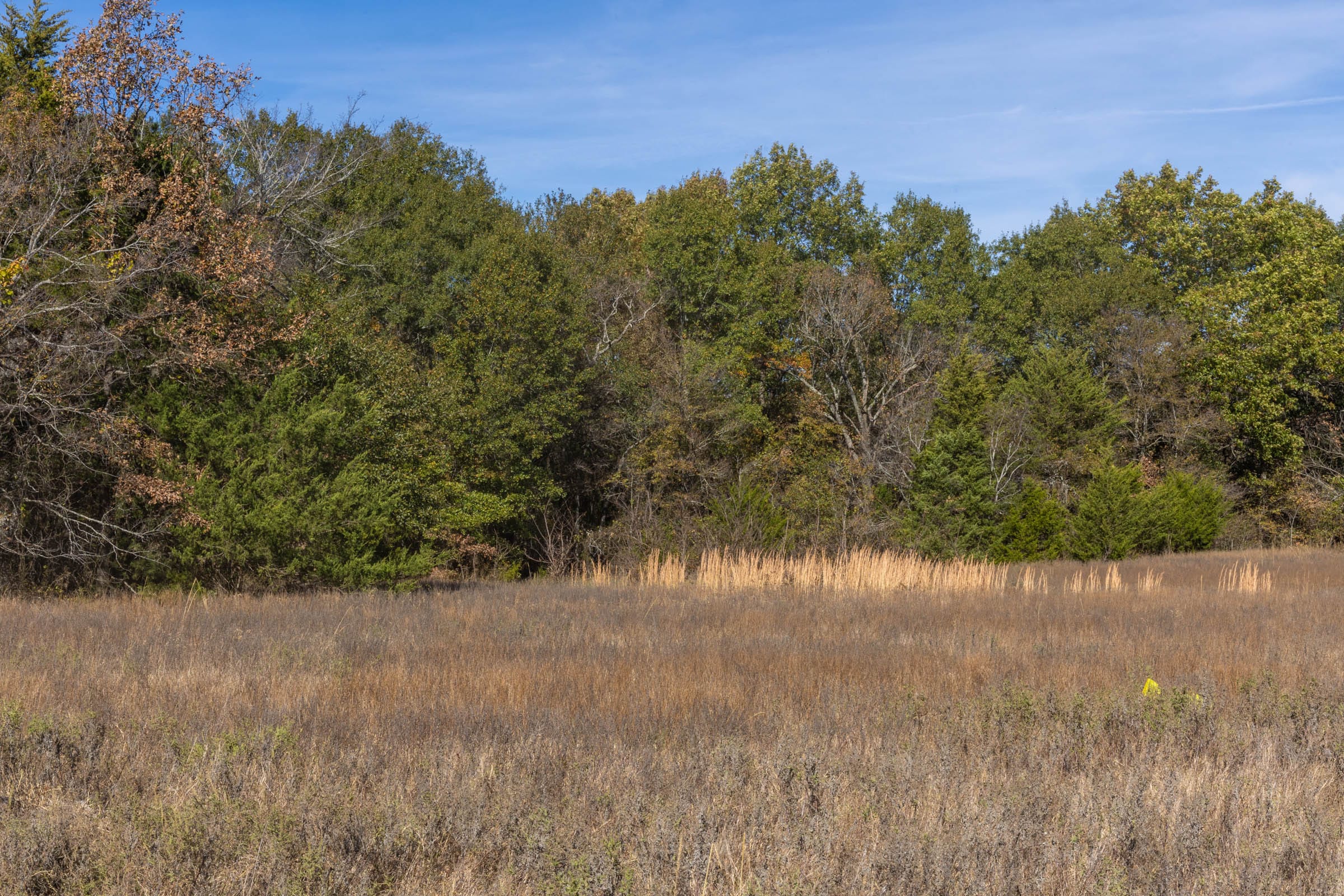 Harmony Hills Tract 43 photo 12