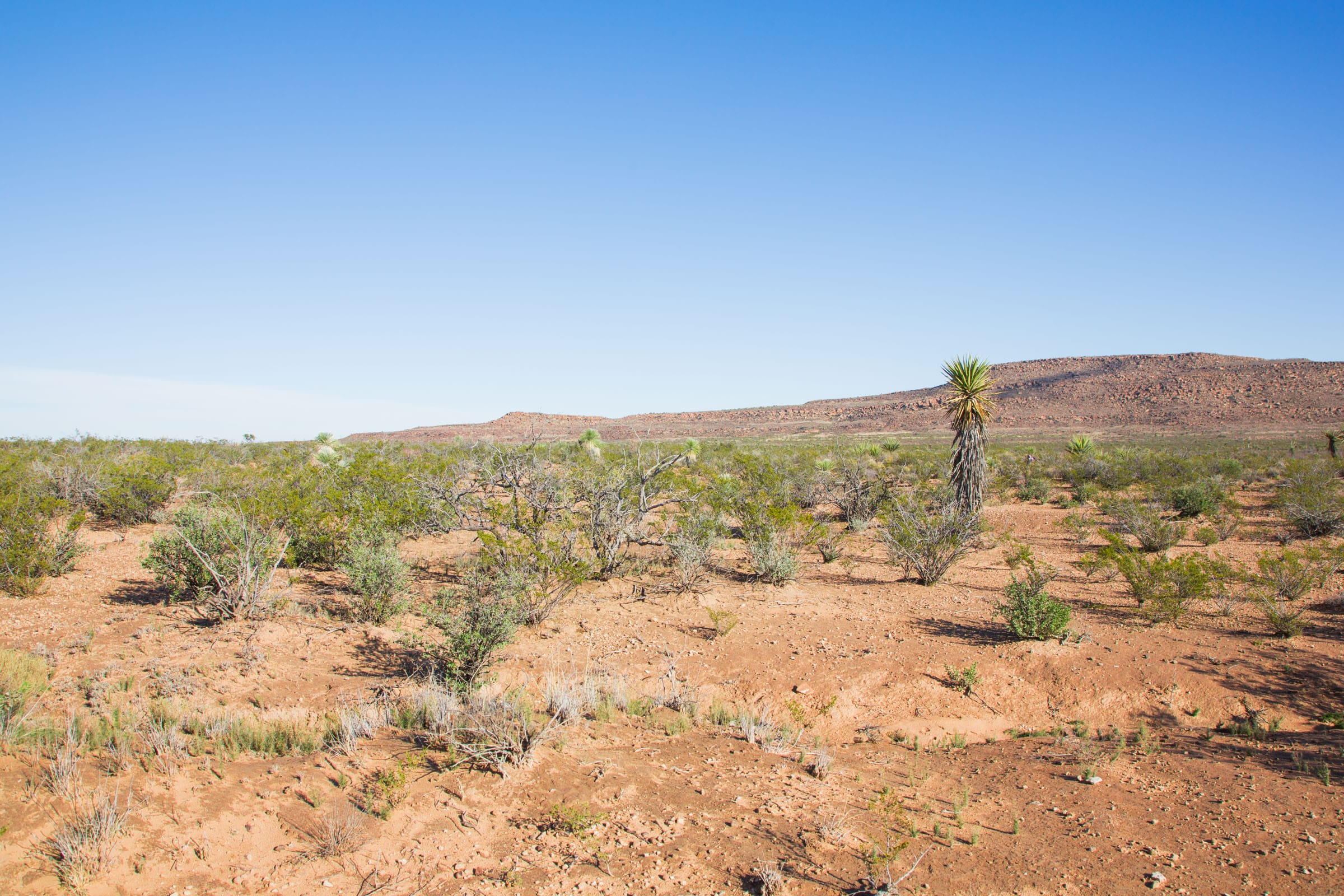 Sunset Ranches Tract 7 photo 3