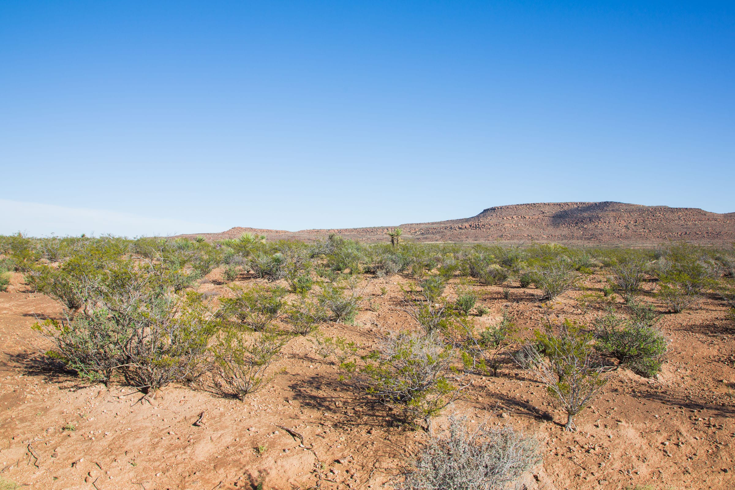 Sunset Ranches Tract 7 photo 4