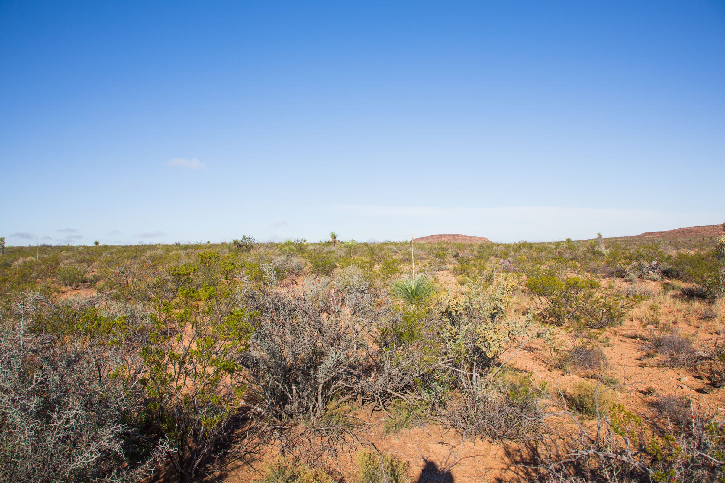 Sunset Ranches Tract 7 photo 8