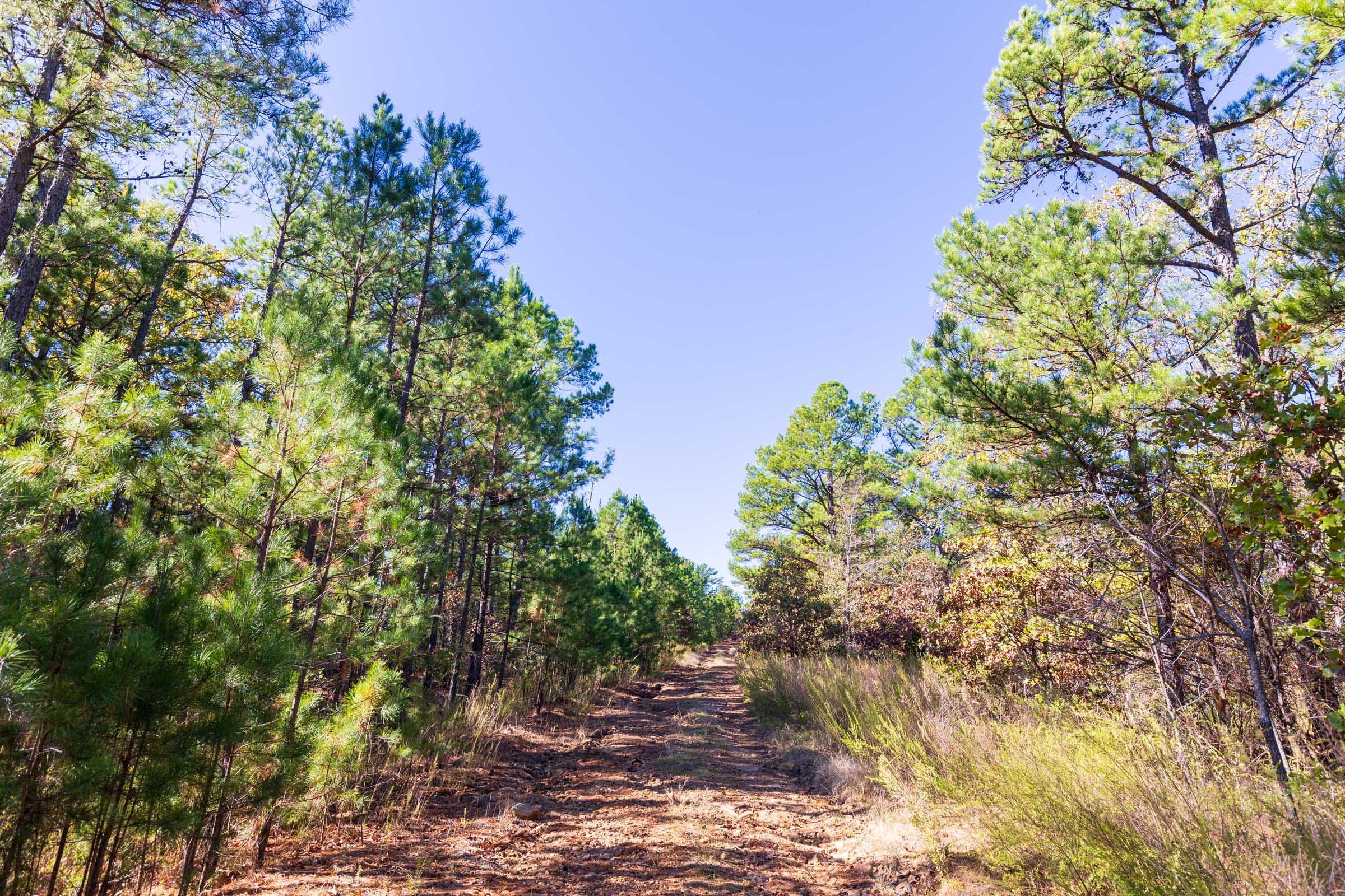 Stone Bridge Reserve Tract 23 photo 4