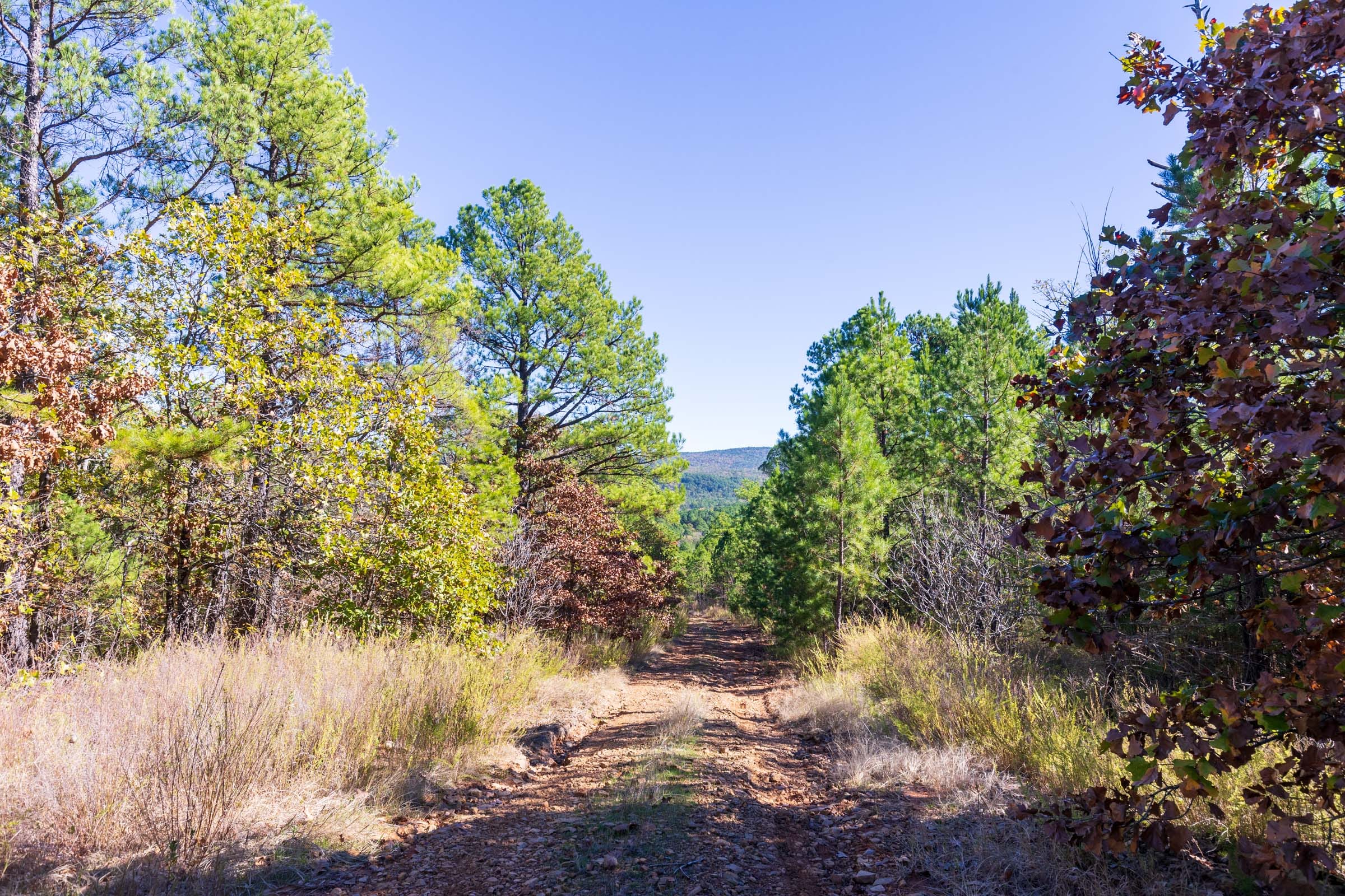 Stone Bridge Reserve Tract 23 photo 1