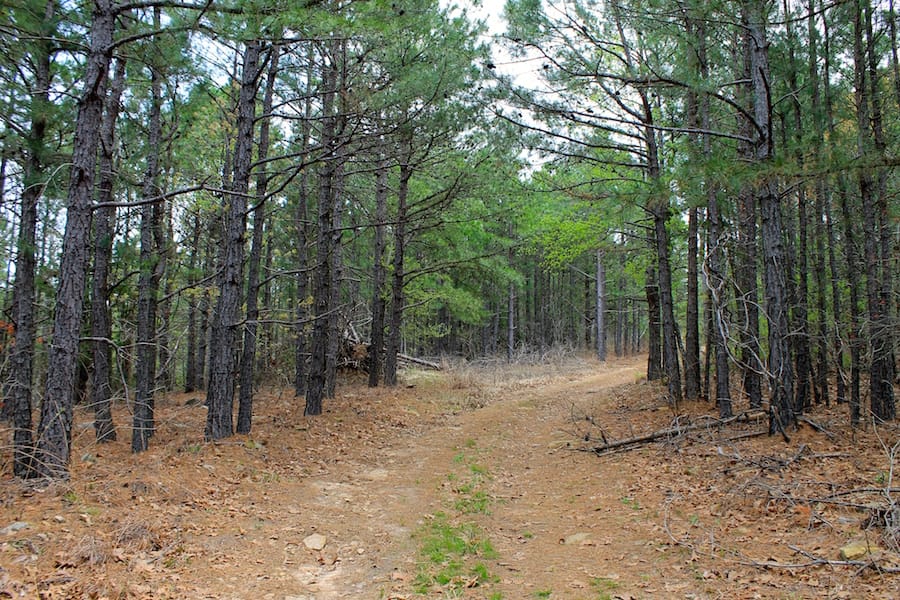 Trophy Ridge Phase III Tract 43 photo 1
