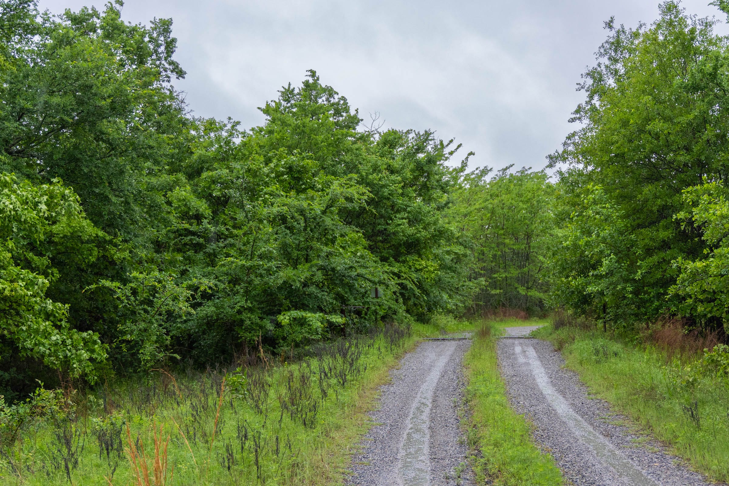 Harmony Hills Tract 19 photo 3
