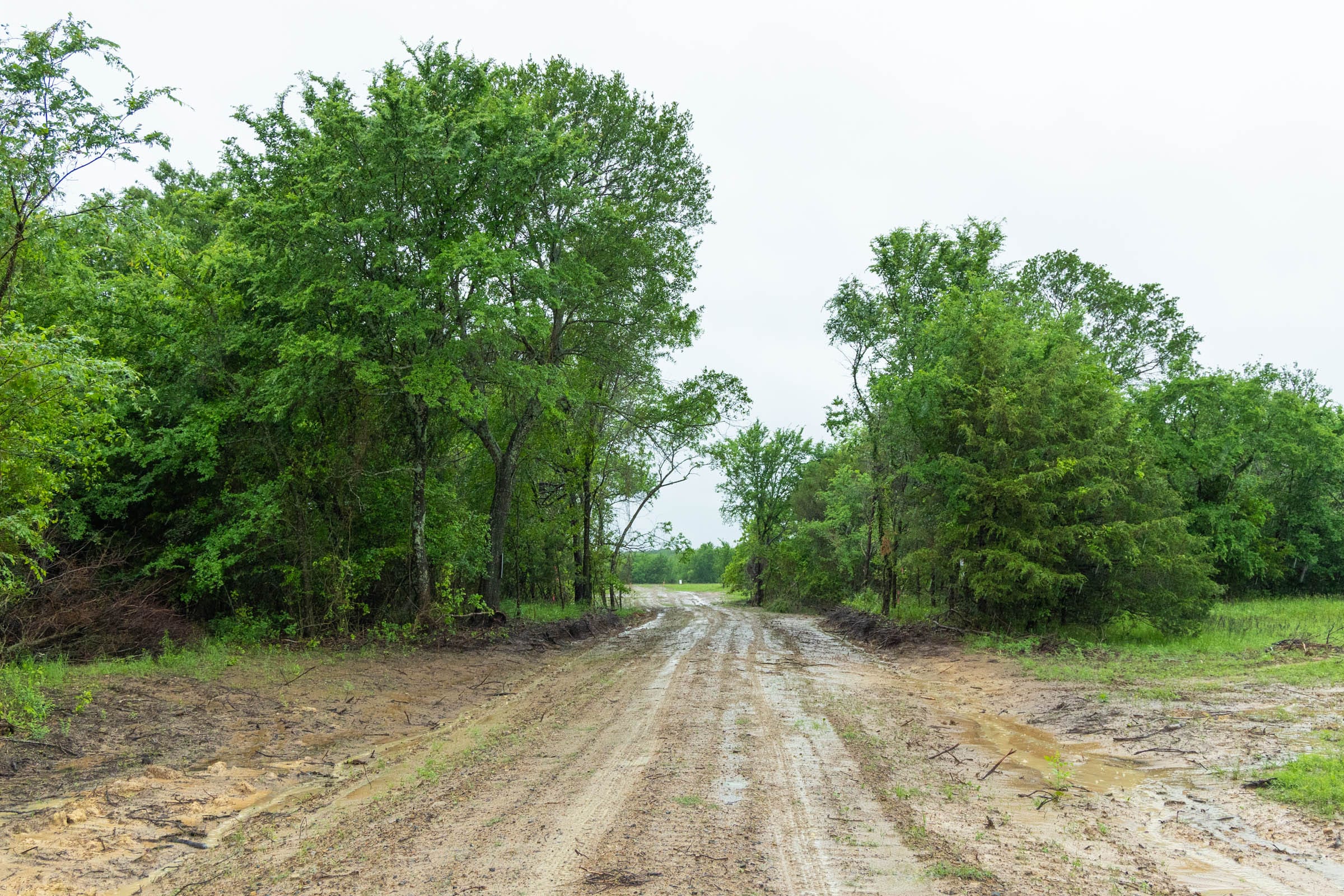 Harmony Hills Tract 19 photo 2