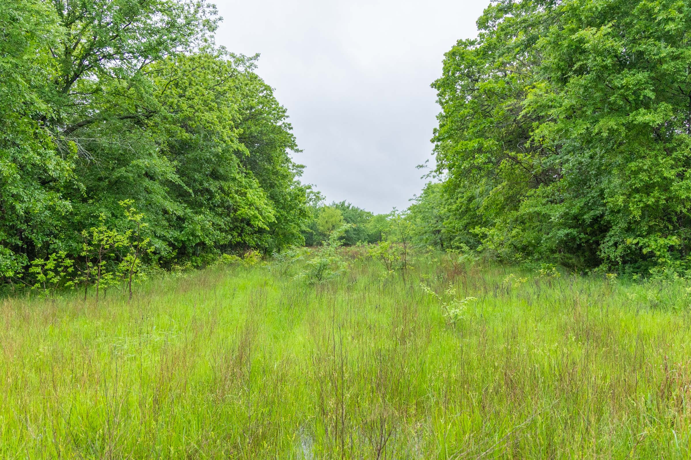 Harmony Hills Tract 19 photo 7