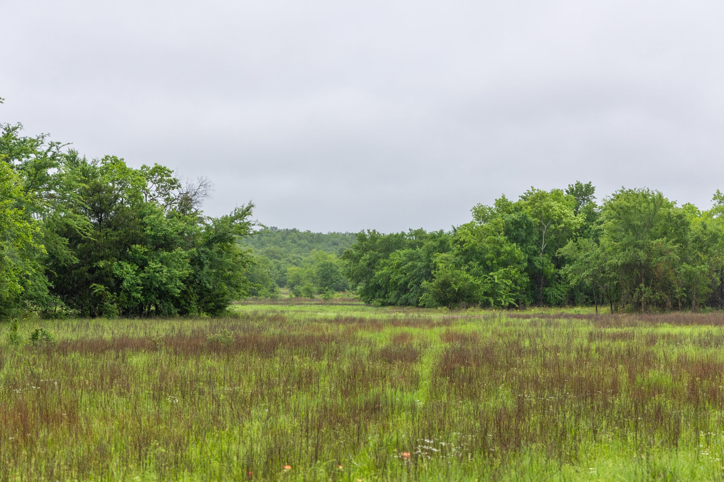 Harmony Hills Tract 19 photo 5