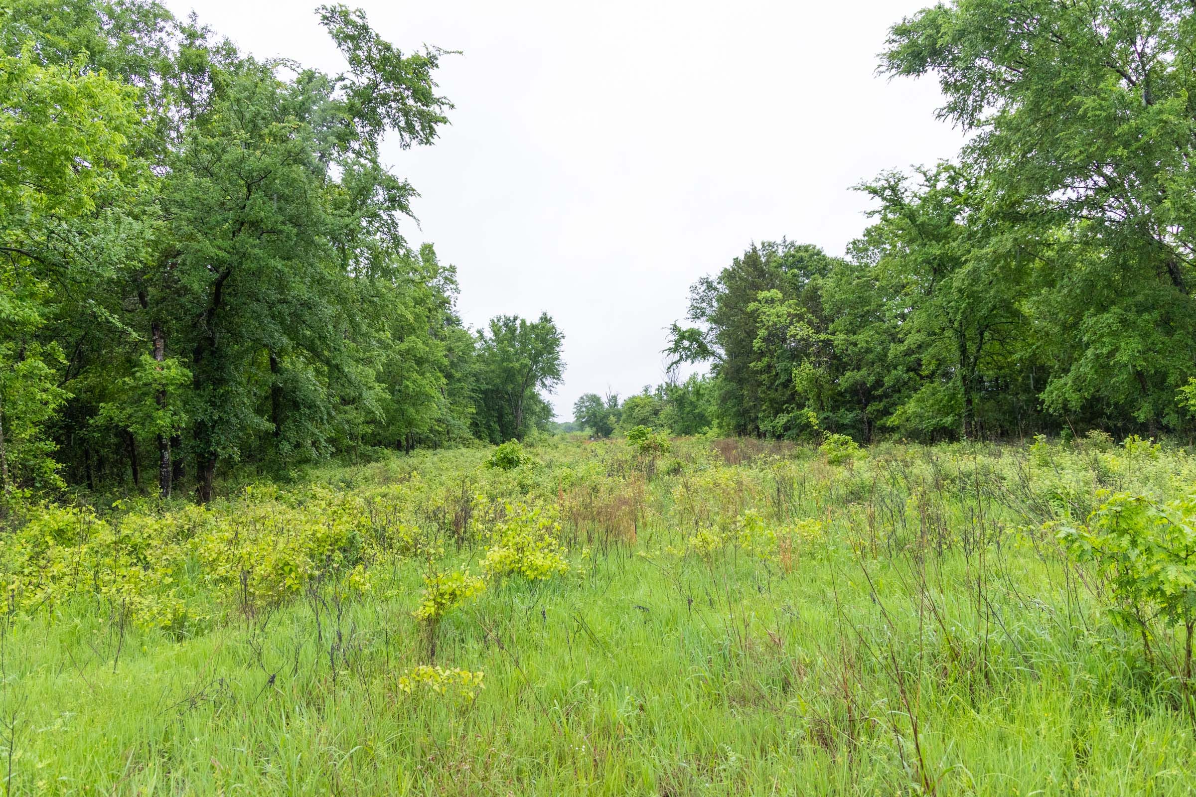 Harmony Hills Tract 19 photo 10