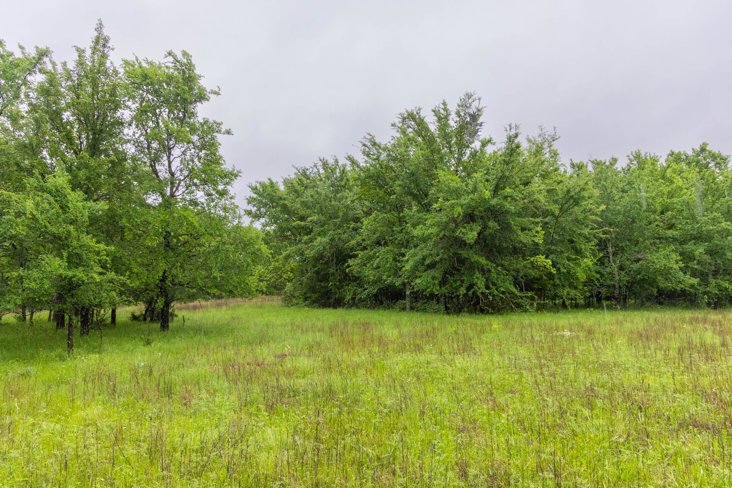 Harmony Hills Tract 19 photo 6