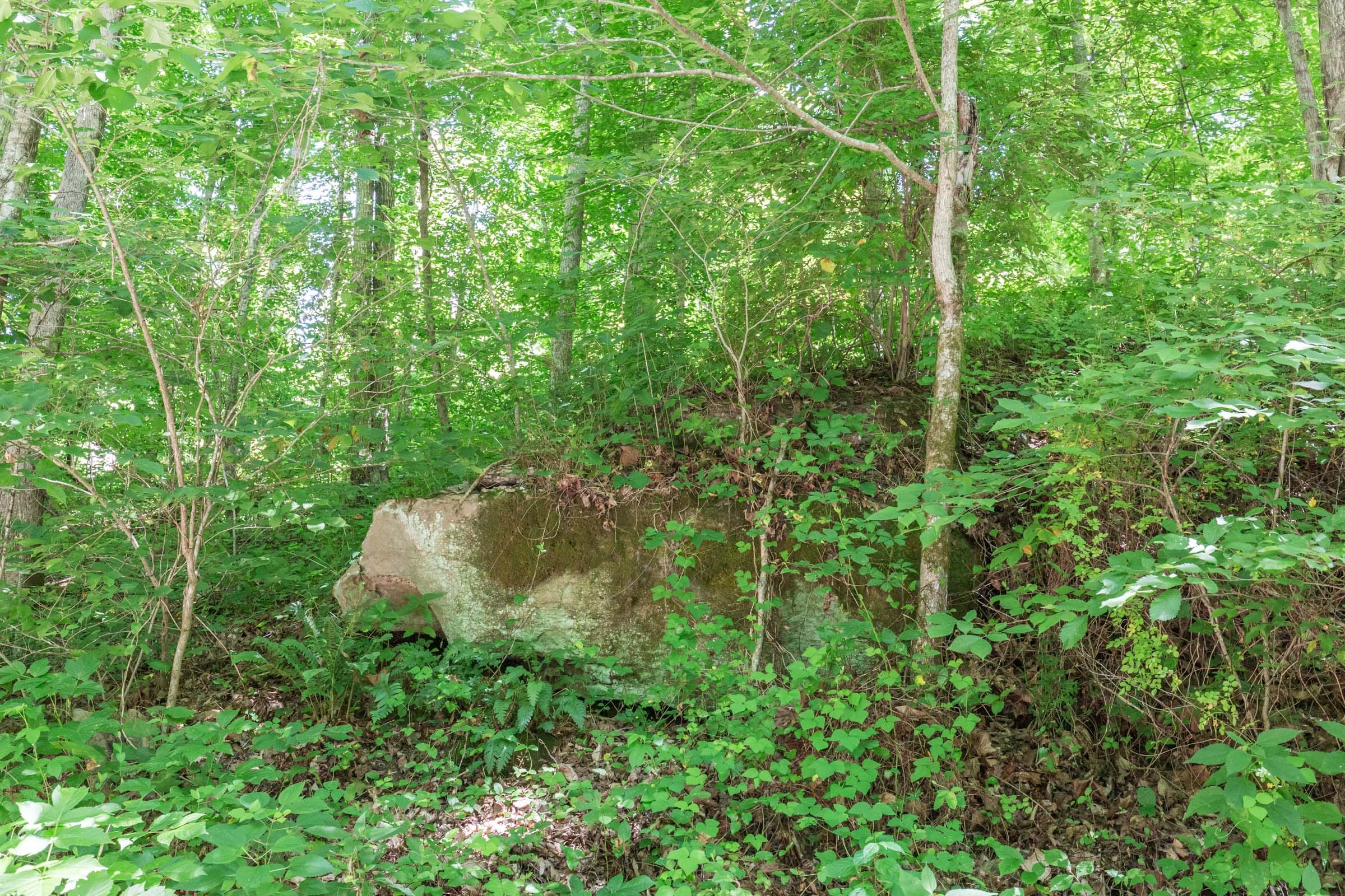 River’s Edge Tract 41 photo 6