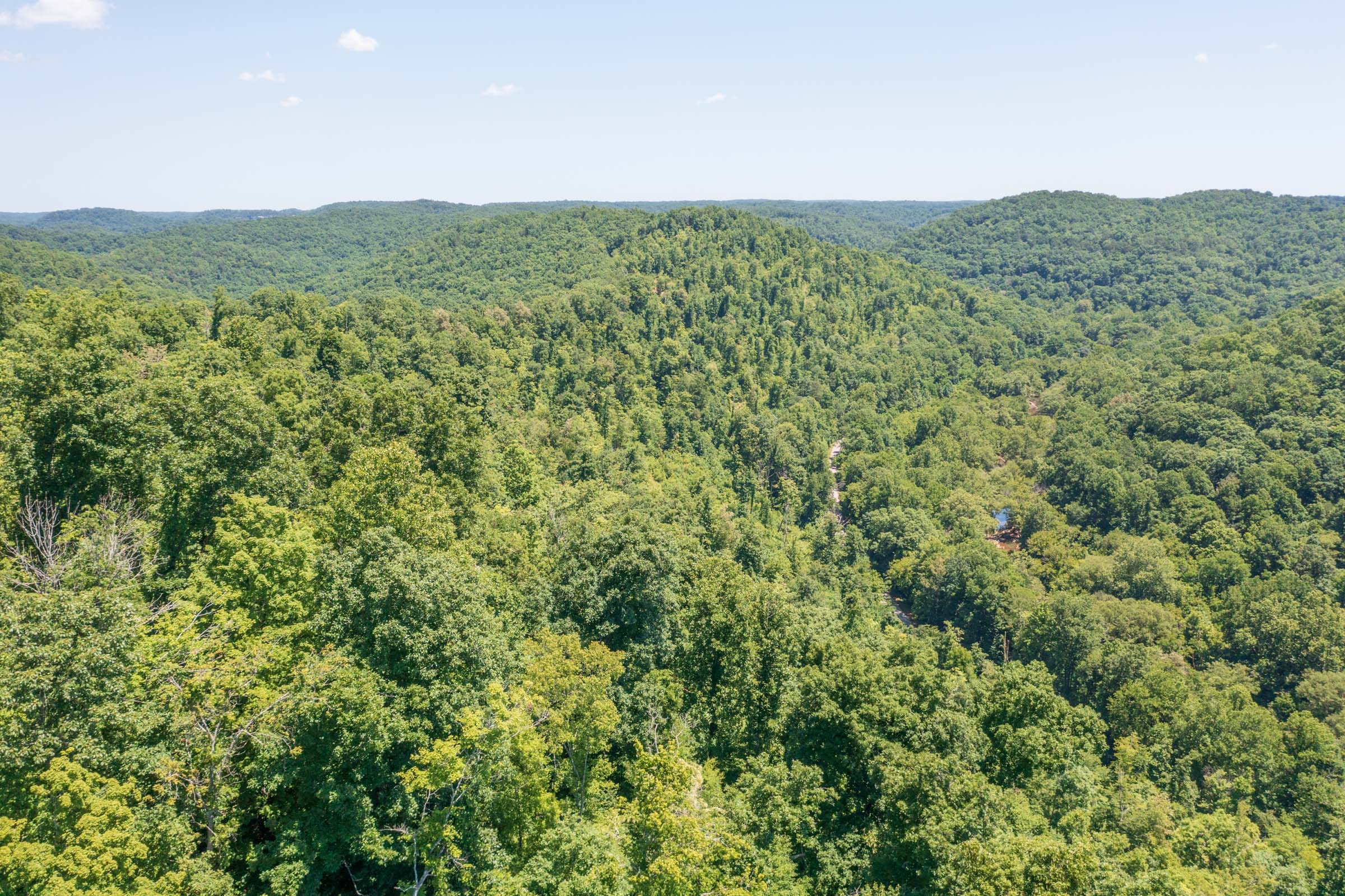 River’s Edge Tract 41 photo 11