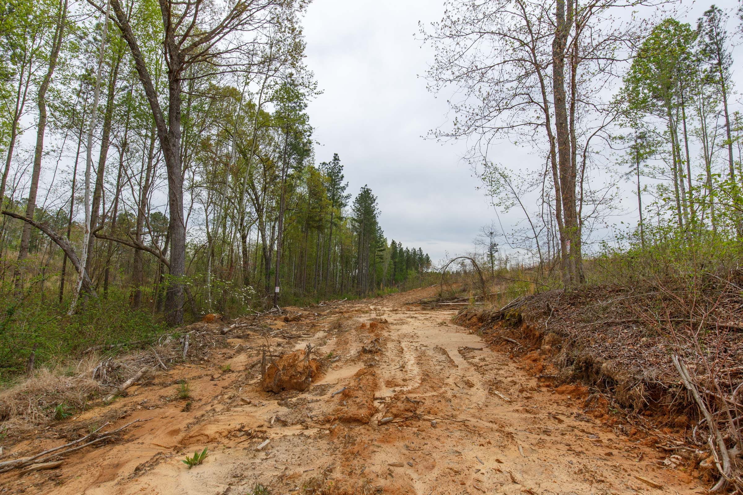 Twin Rivers Tract 14 photo 2