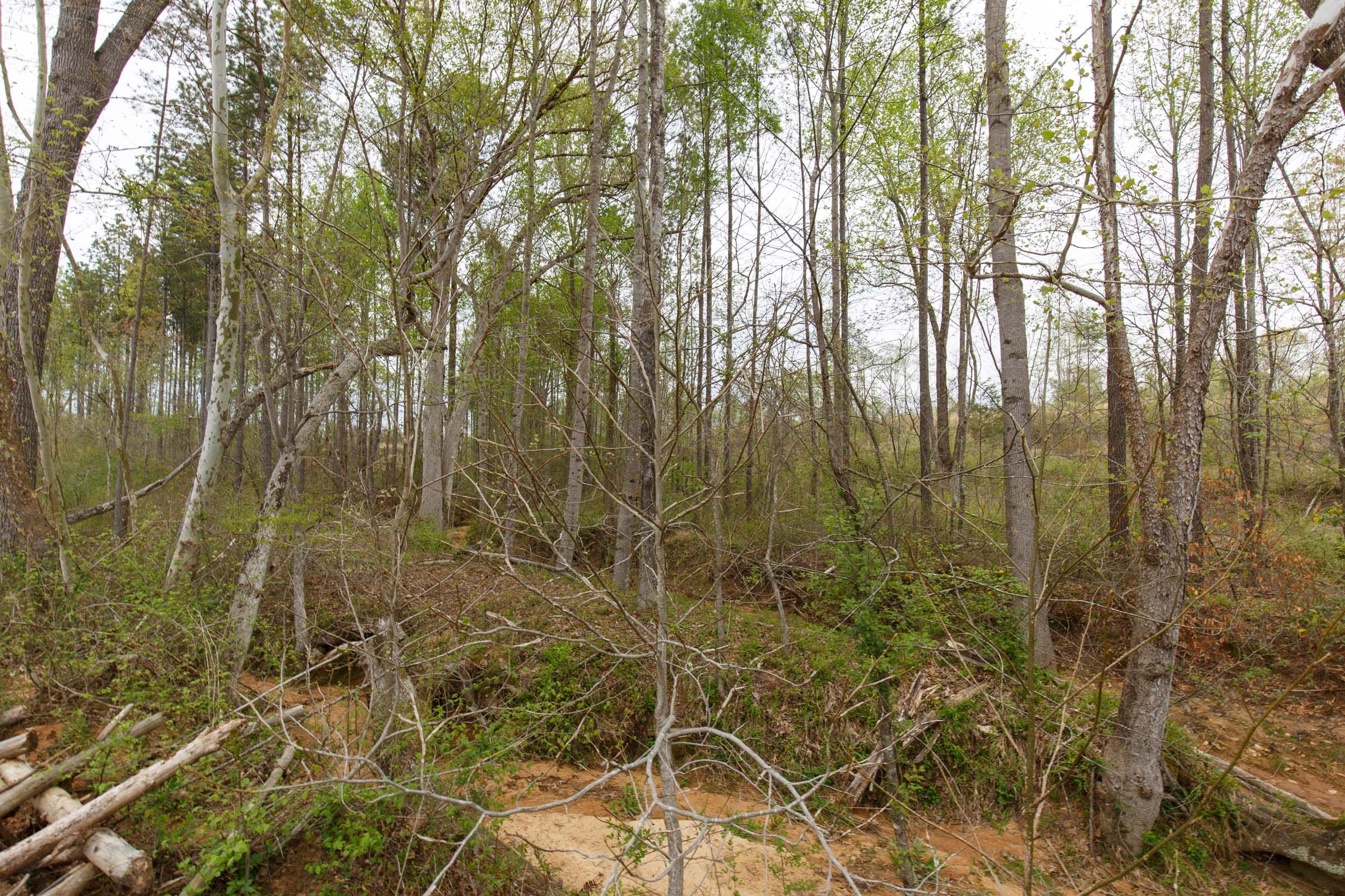 Twin Rivers Tract 14 photo 9