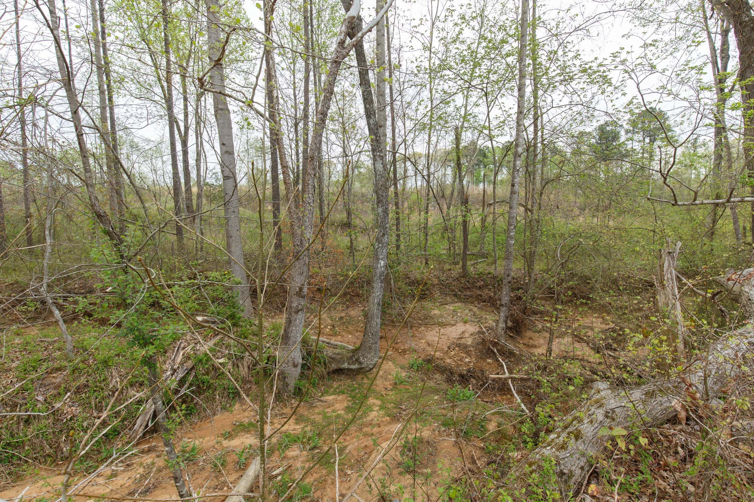 Twin Rivers Tract 14 photo 11