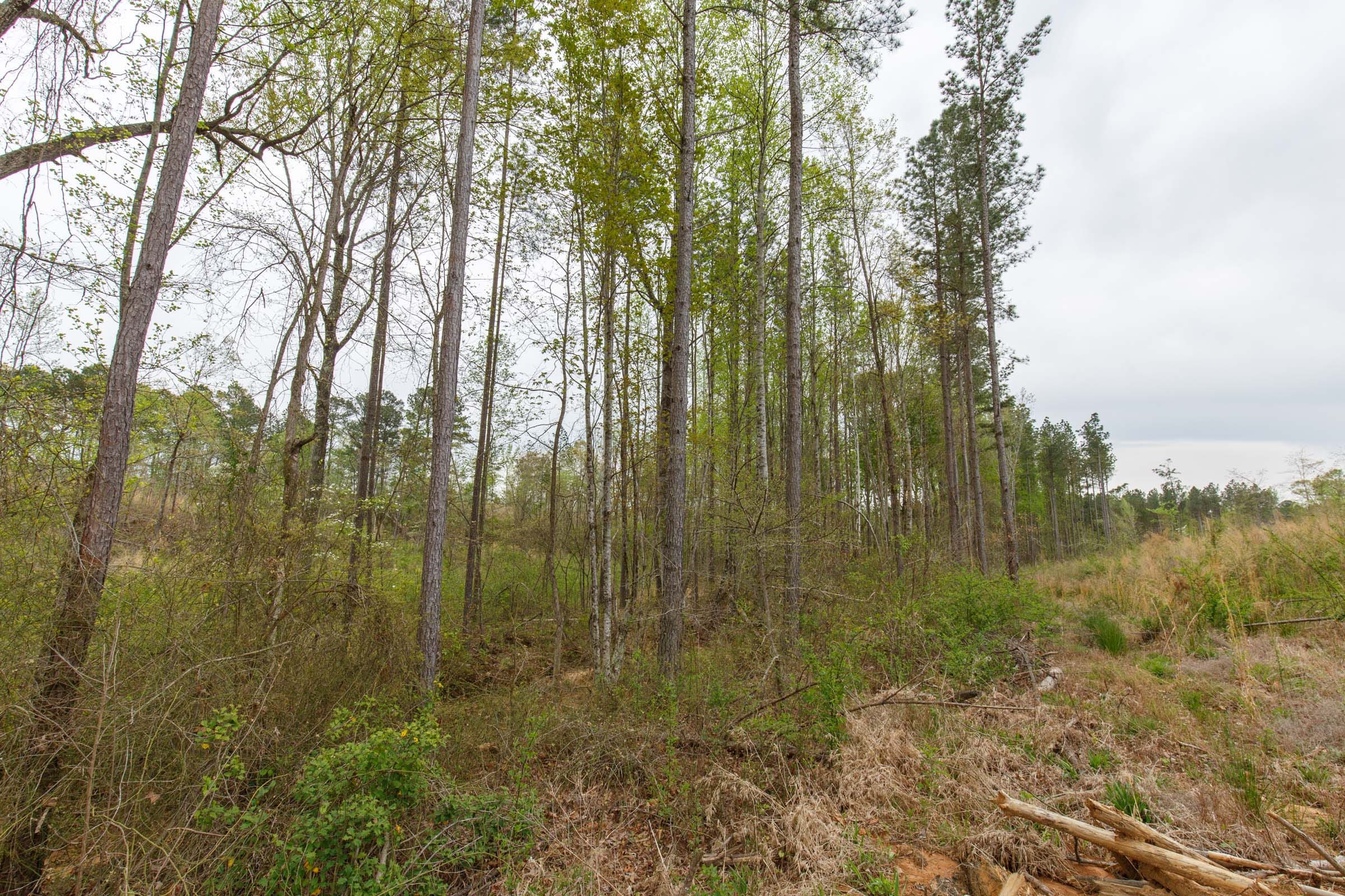 Twin Rivers Tract 14 photo 13