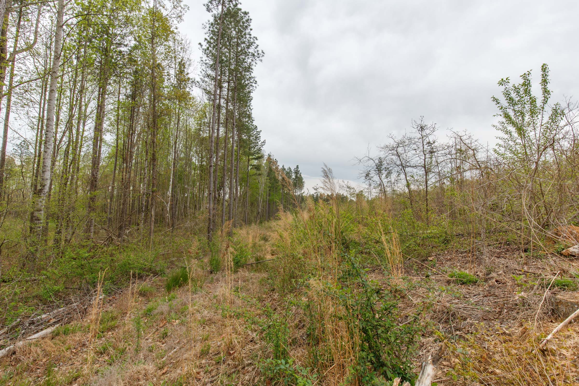 Twin Rivers Tract 14 photo 15